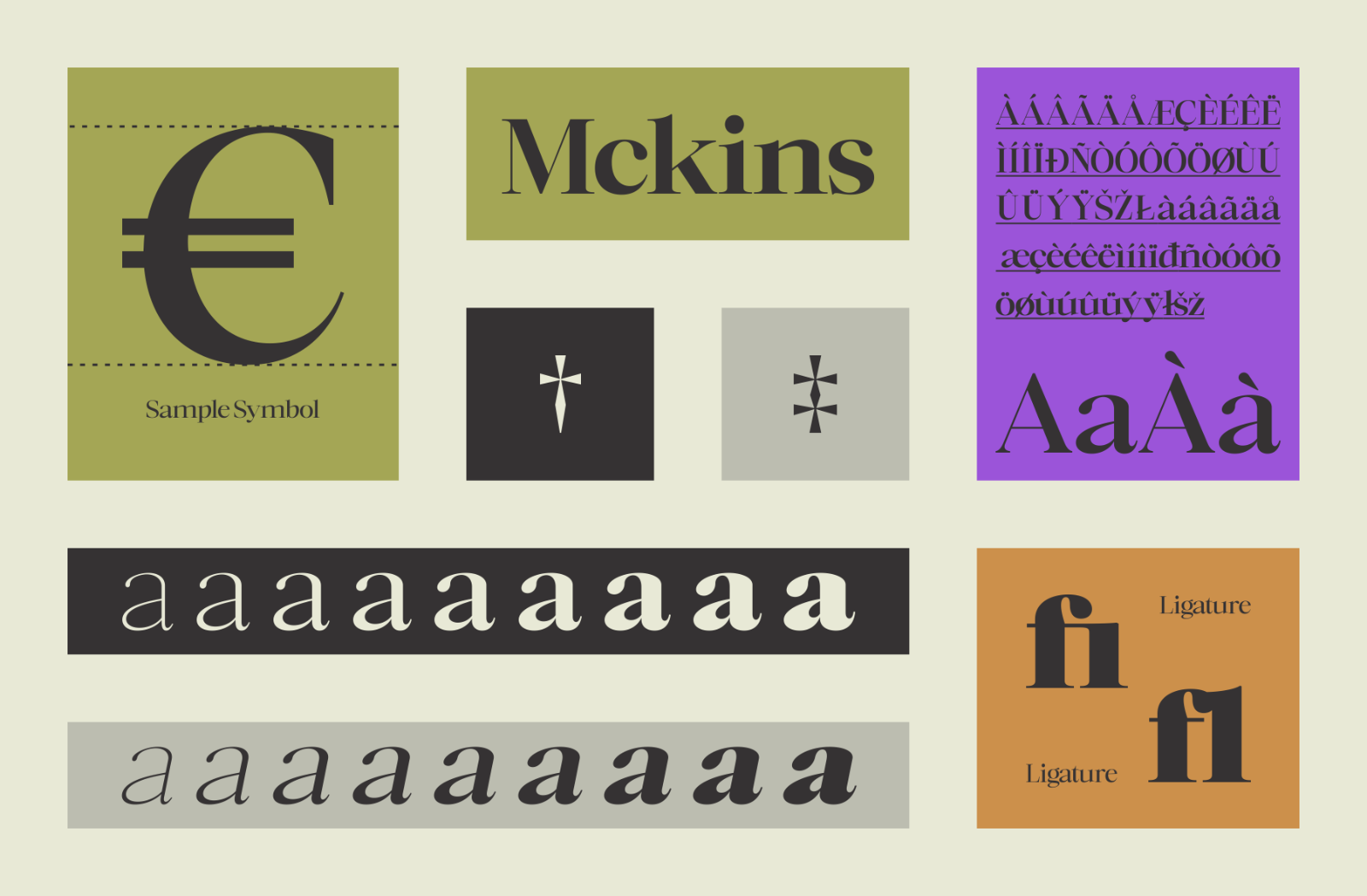 Mckins - Family Serif Font — image 5