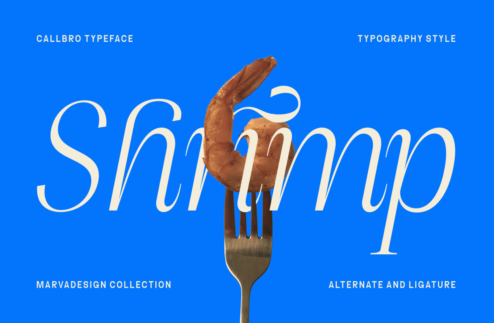 Callbro - Elegant Serif Font — image 5