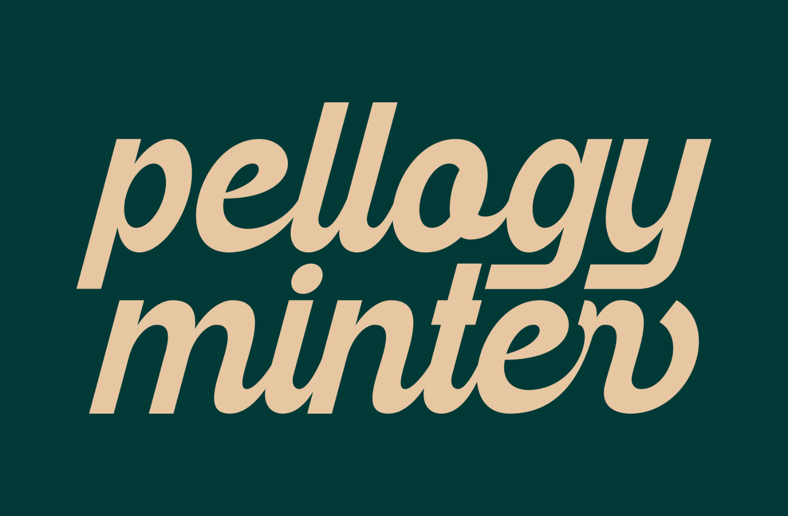 Fallbeil - Modern Script Typeface — image 5