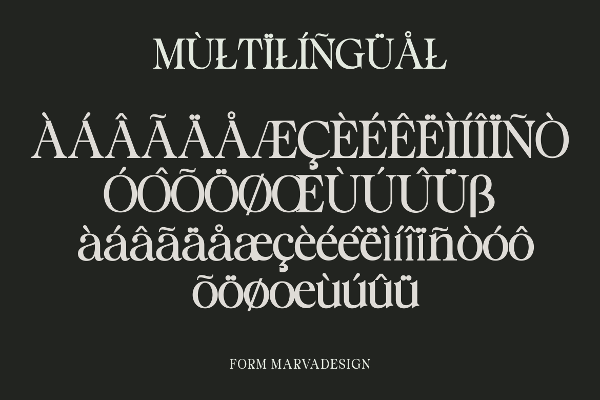 Staller - A Modern Beauty Font — image 6