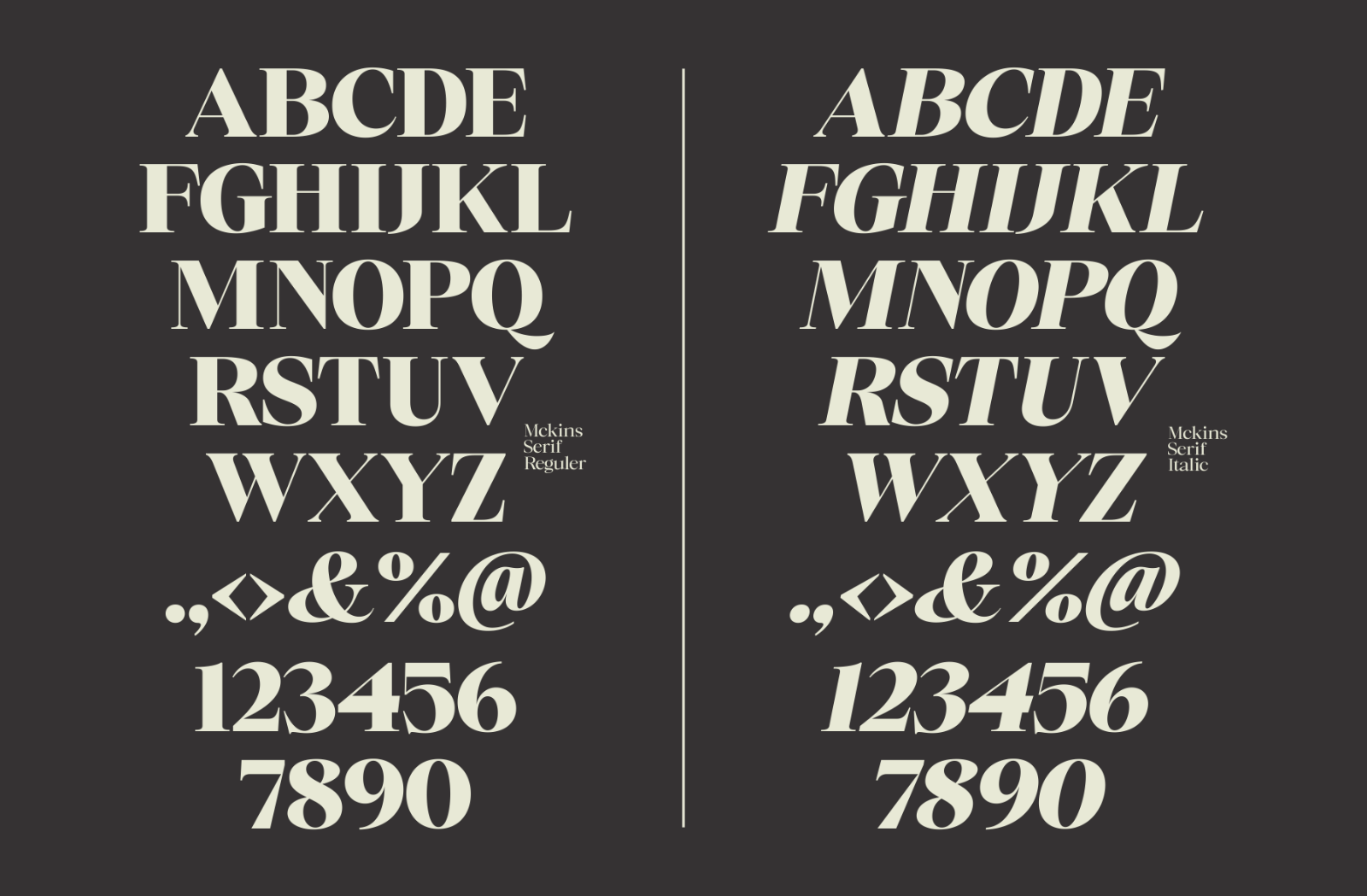 Mckins - Family Serif Font — image 6