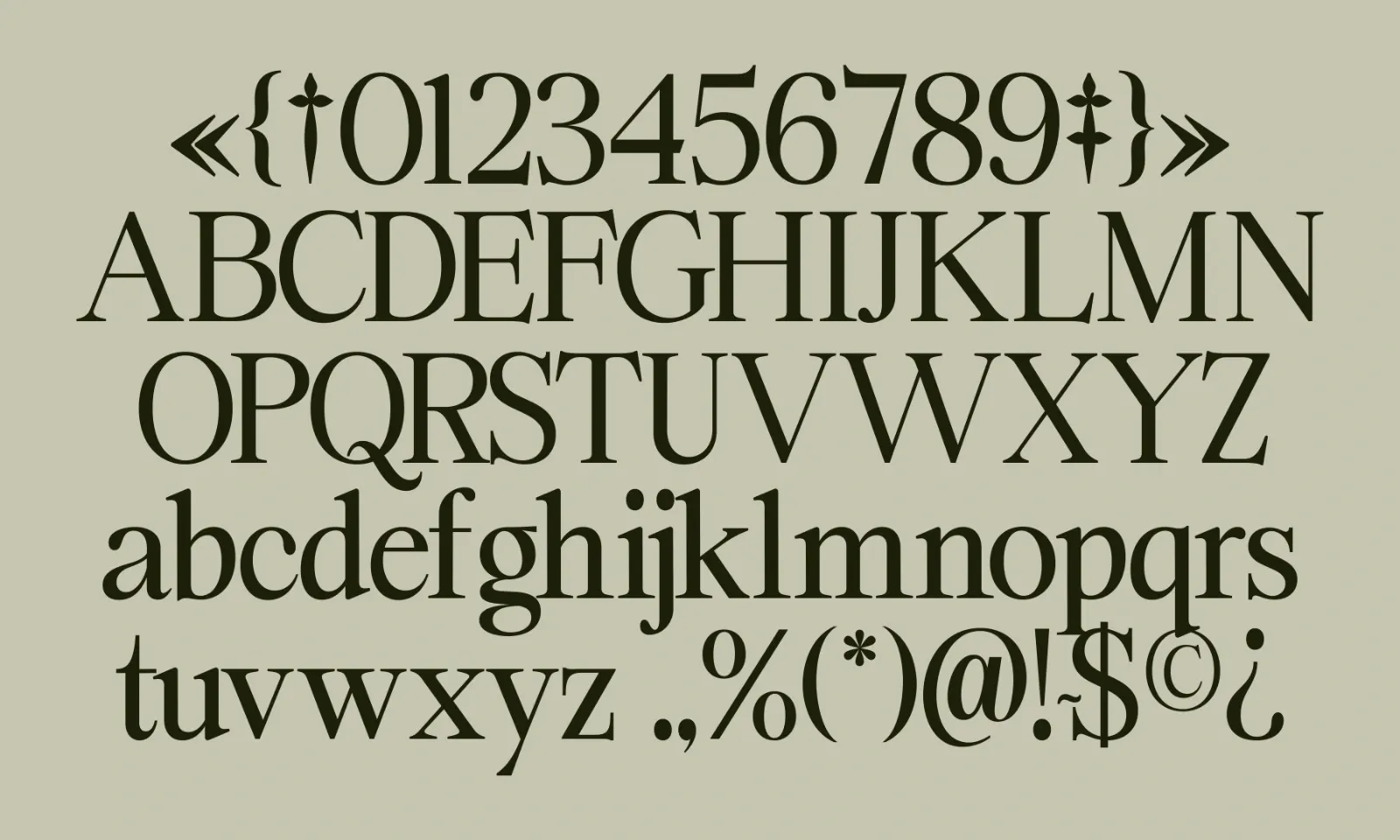 Swarsh Daisy - Elegant Serif Display — image 6