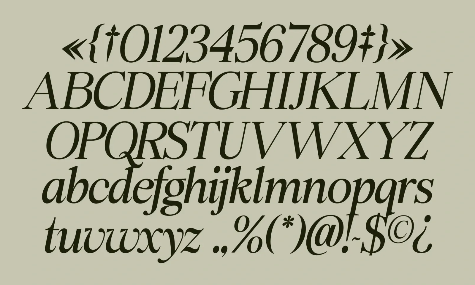 Swarsh Daisy - Elegant Serif Display — image 7