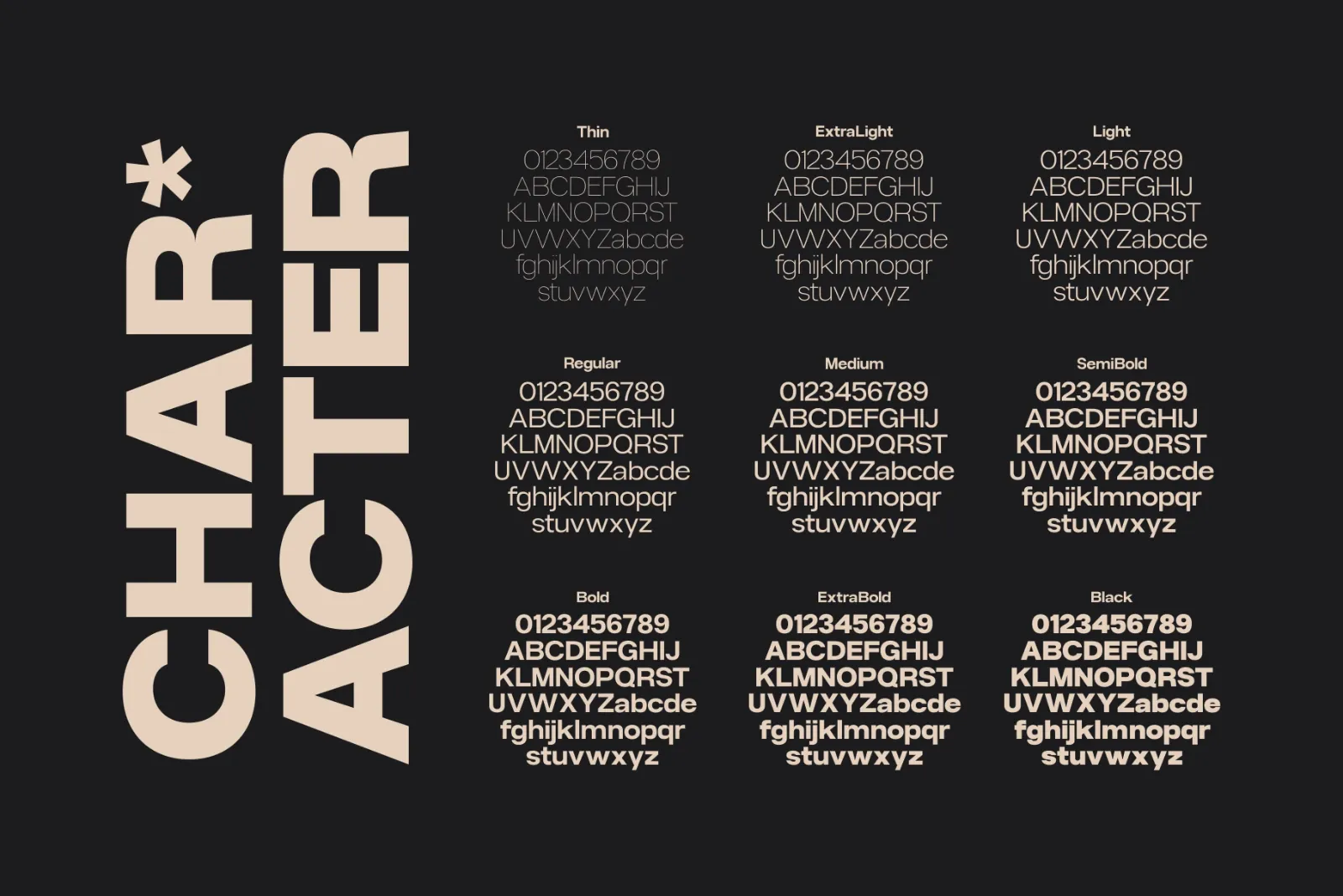 Gaglio Family Font — image 7