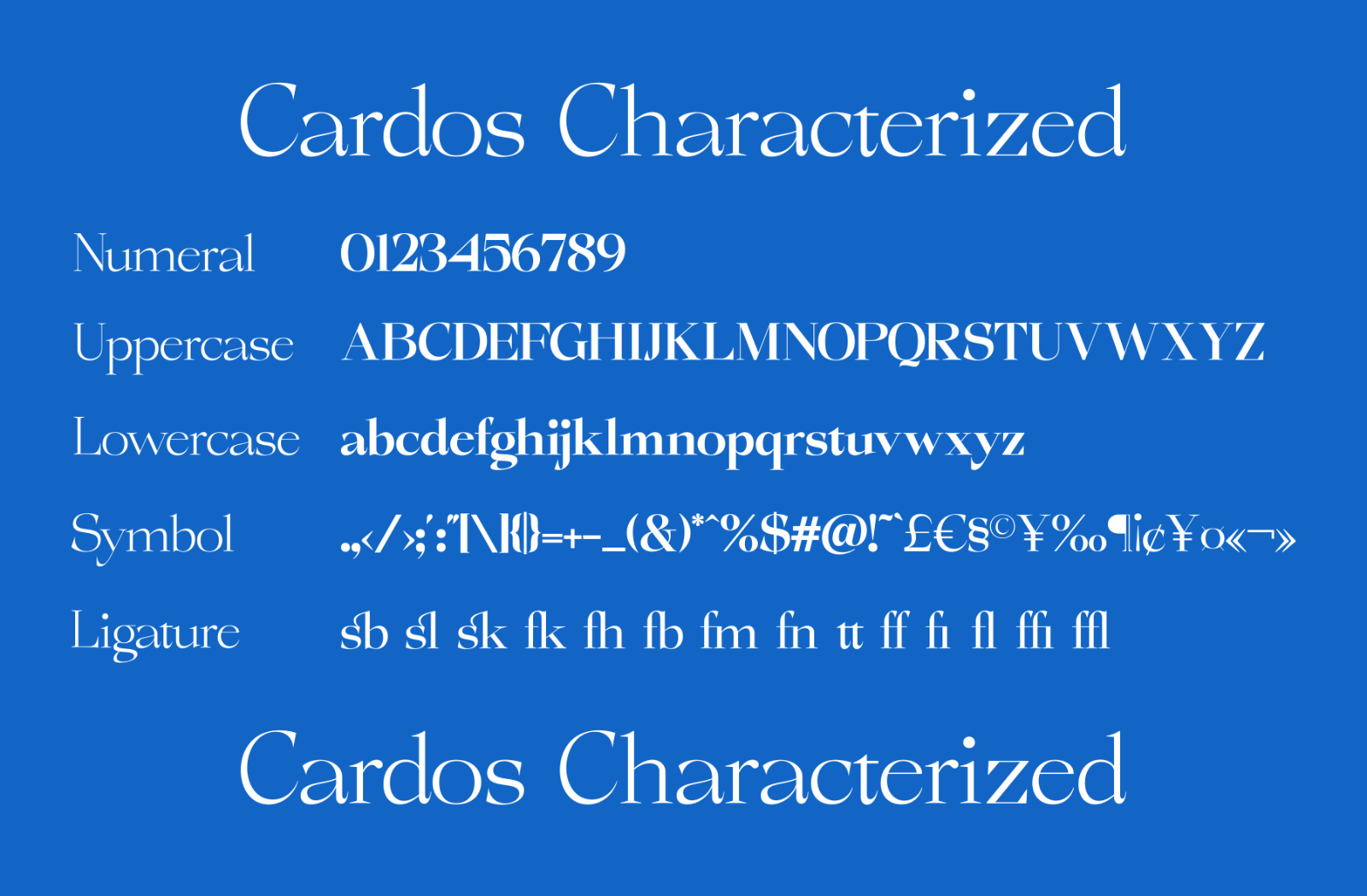 Cardos — image 7