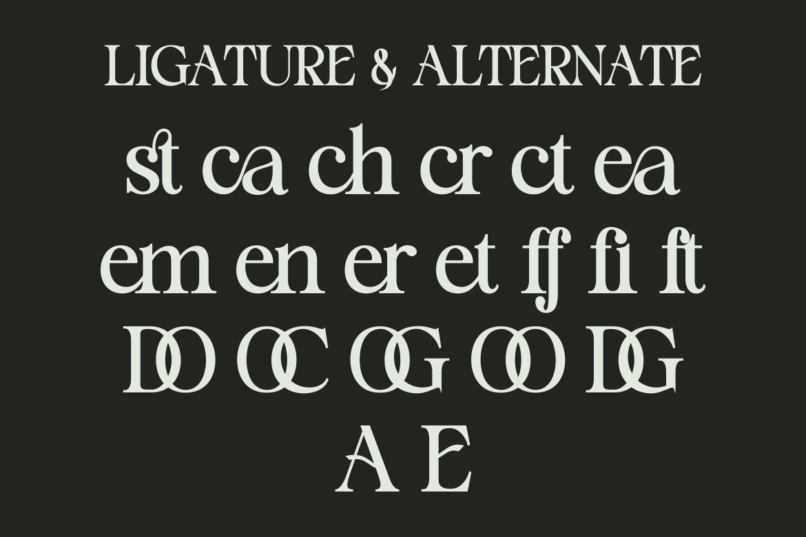 Staller - A Modern Beauty Font — image 7