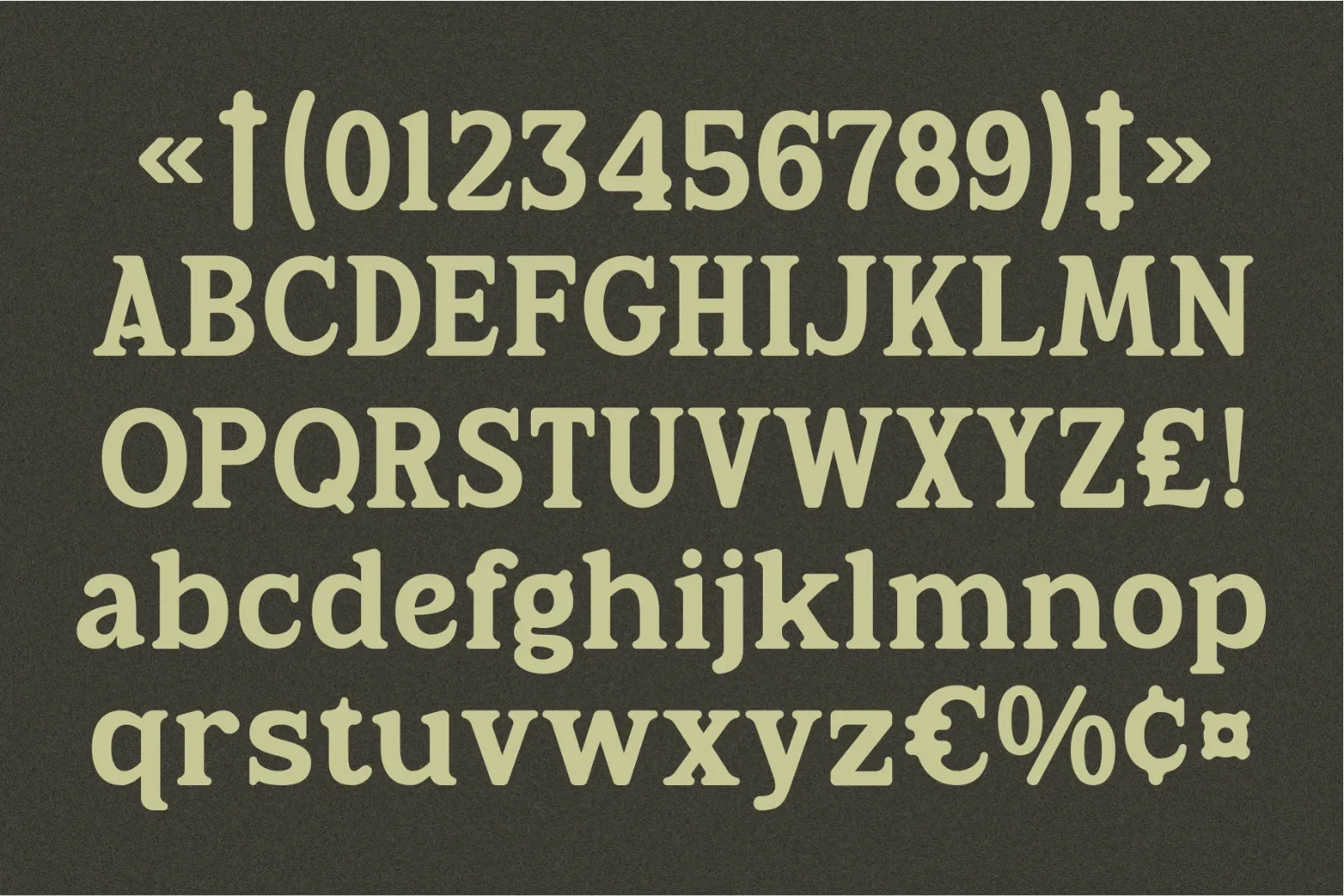 Rootle - Old Elegant Serif — image 7