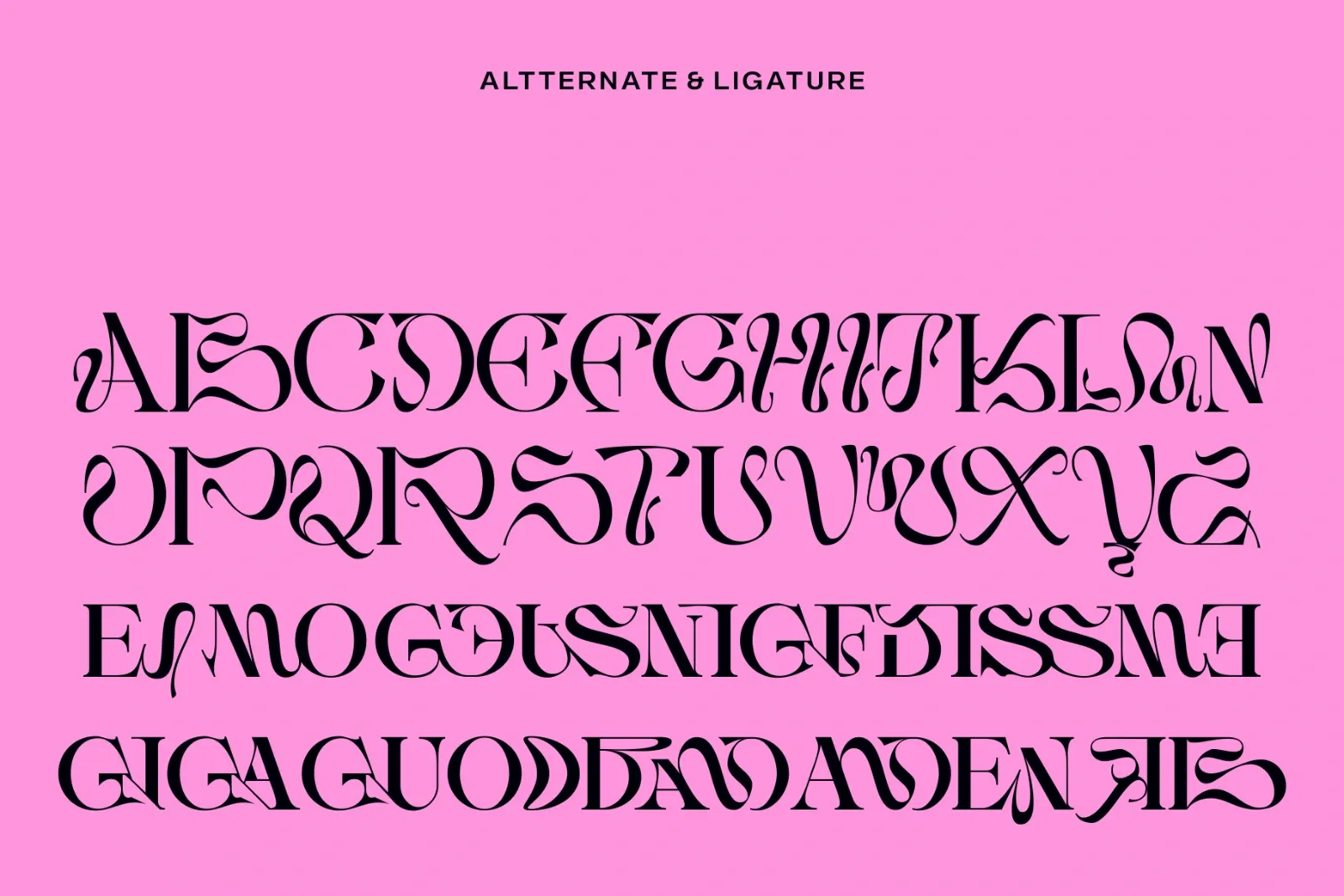 Ebamo - Serif Display Font — image 8