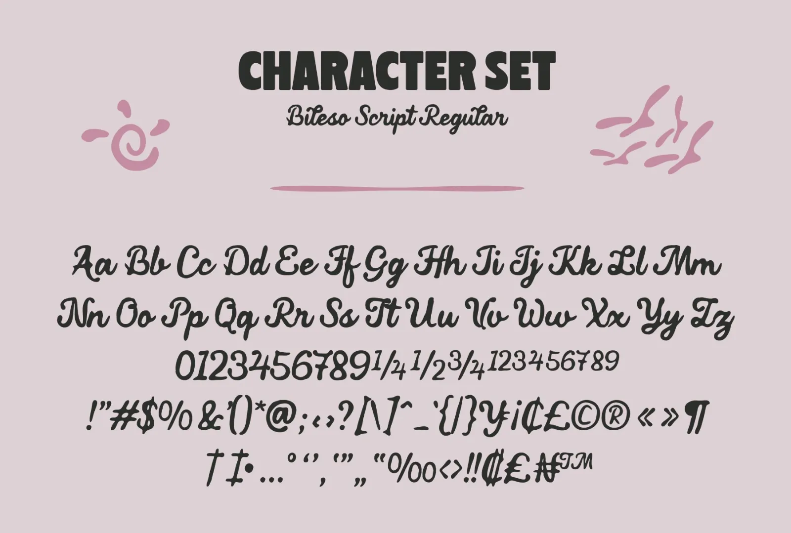 Bileso Script Font — image 8