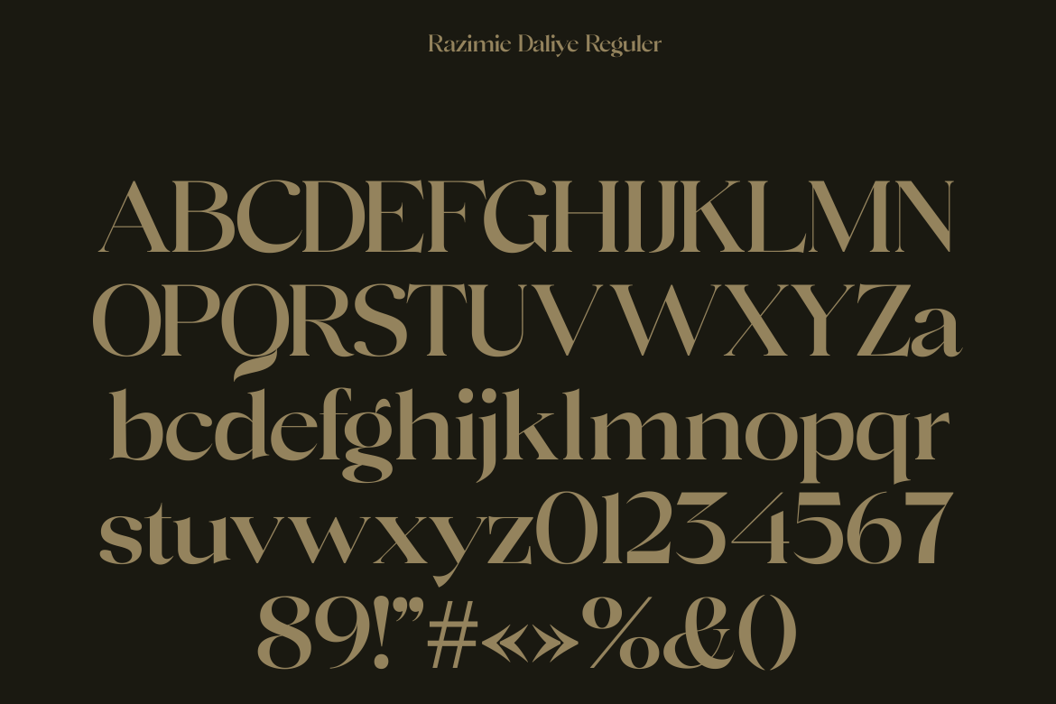Razimie Daliye - Display Serif Font — image 8