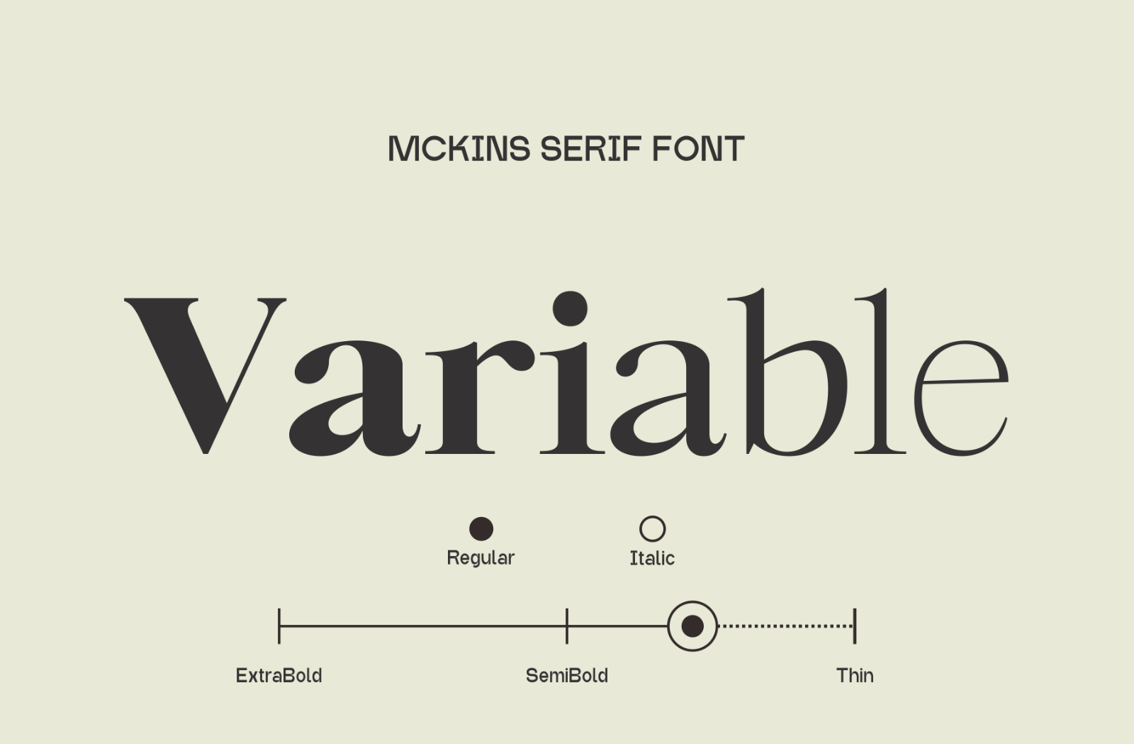Mckins - Family Serif Font — image 8