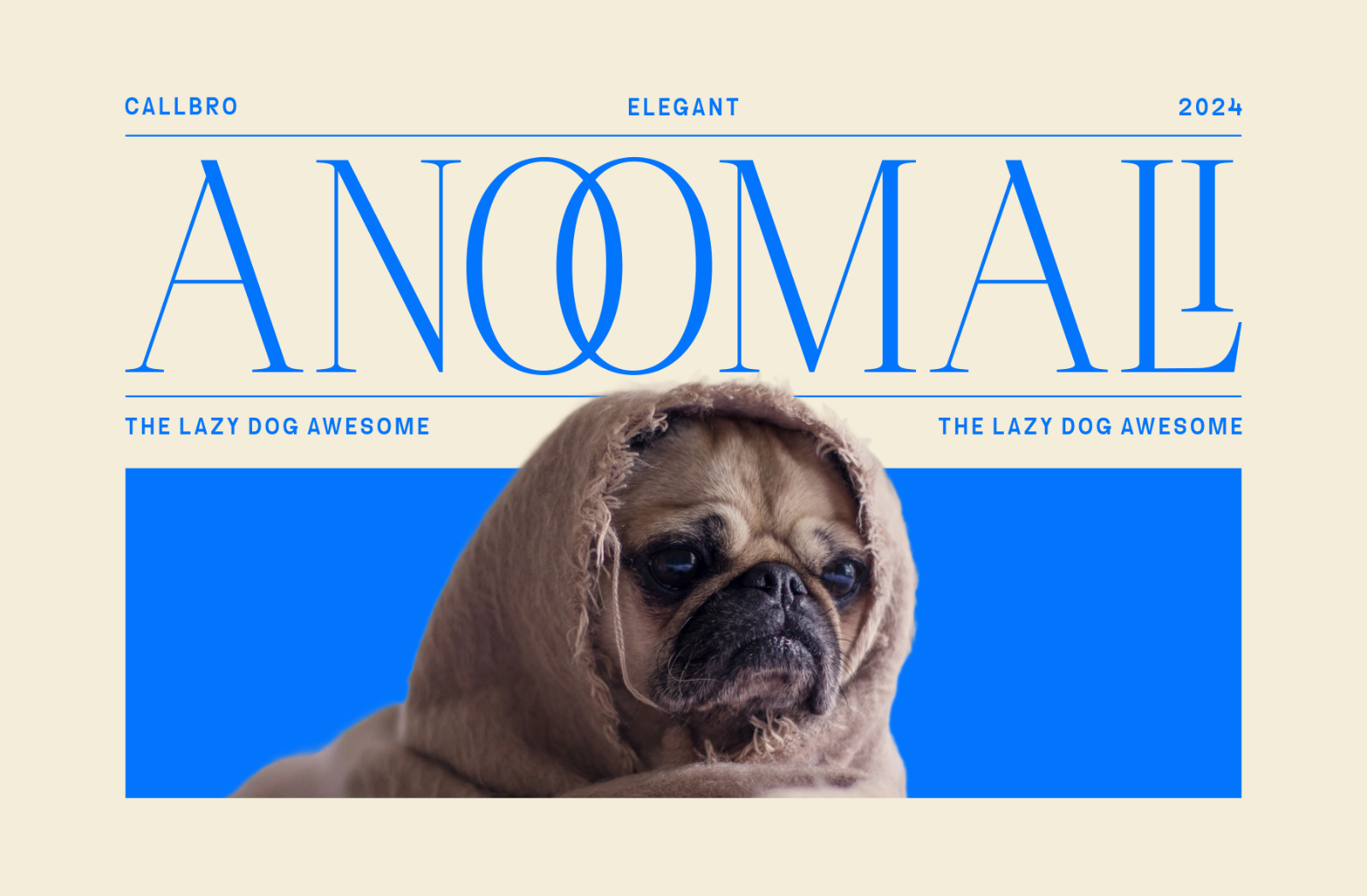 Callbro - Elegant Serif Font — image 8
