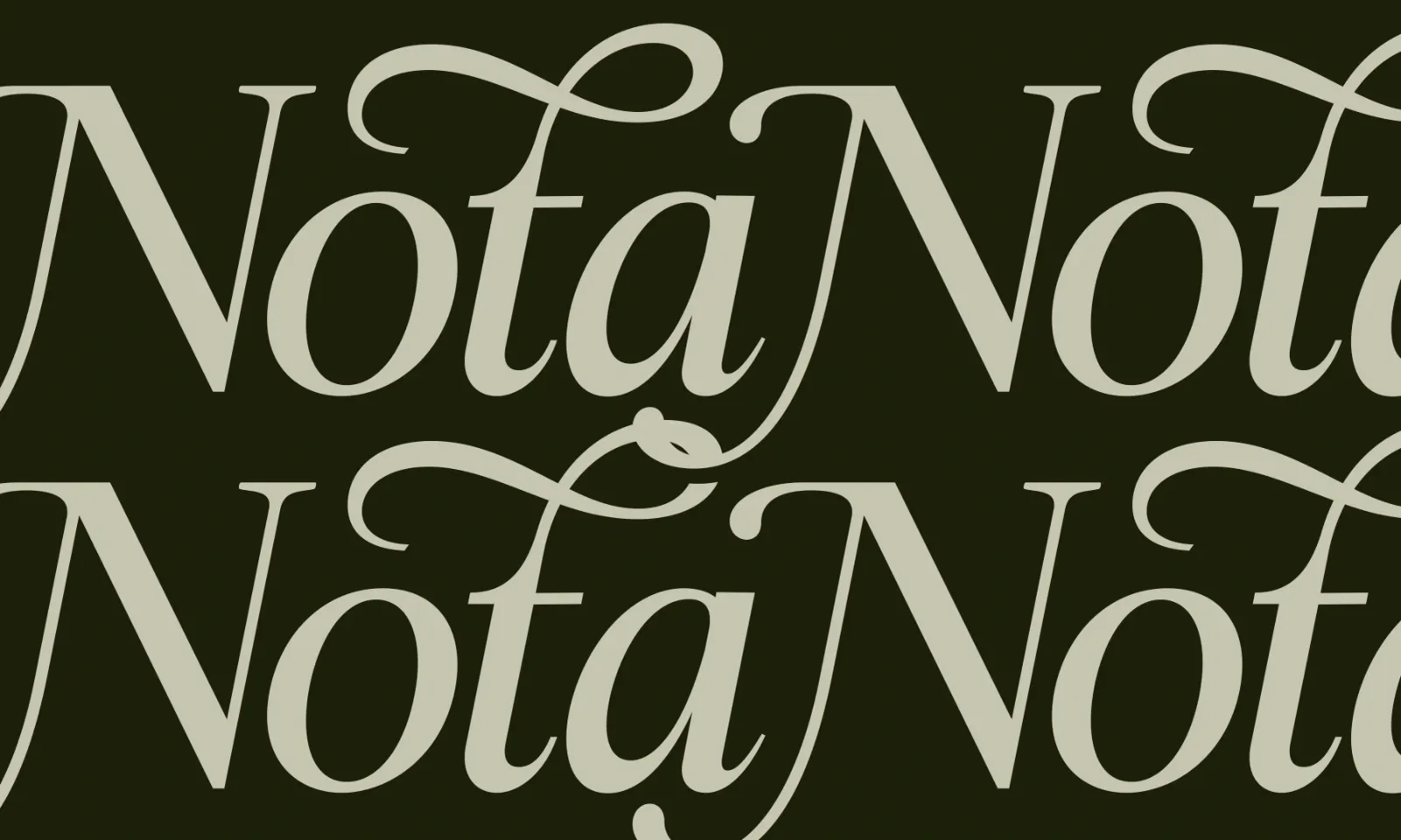 Swarsh Daisy - Elegant Serif Display — image 8
