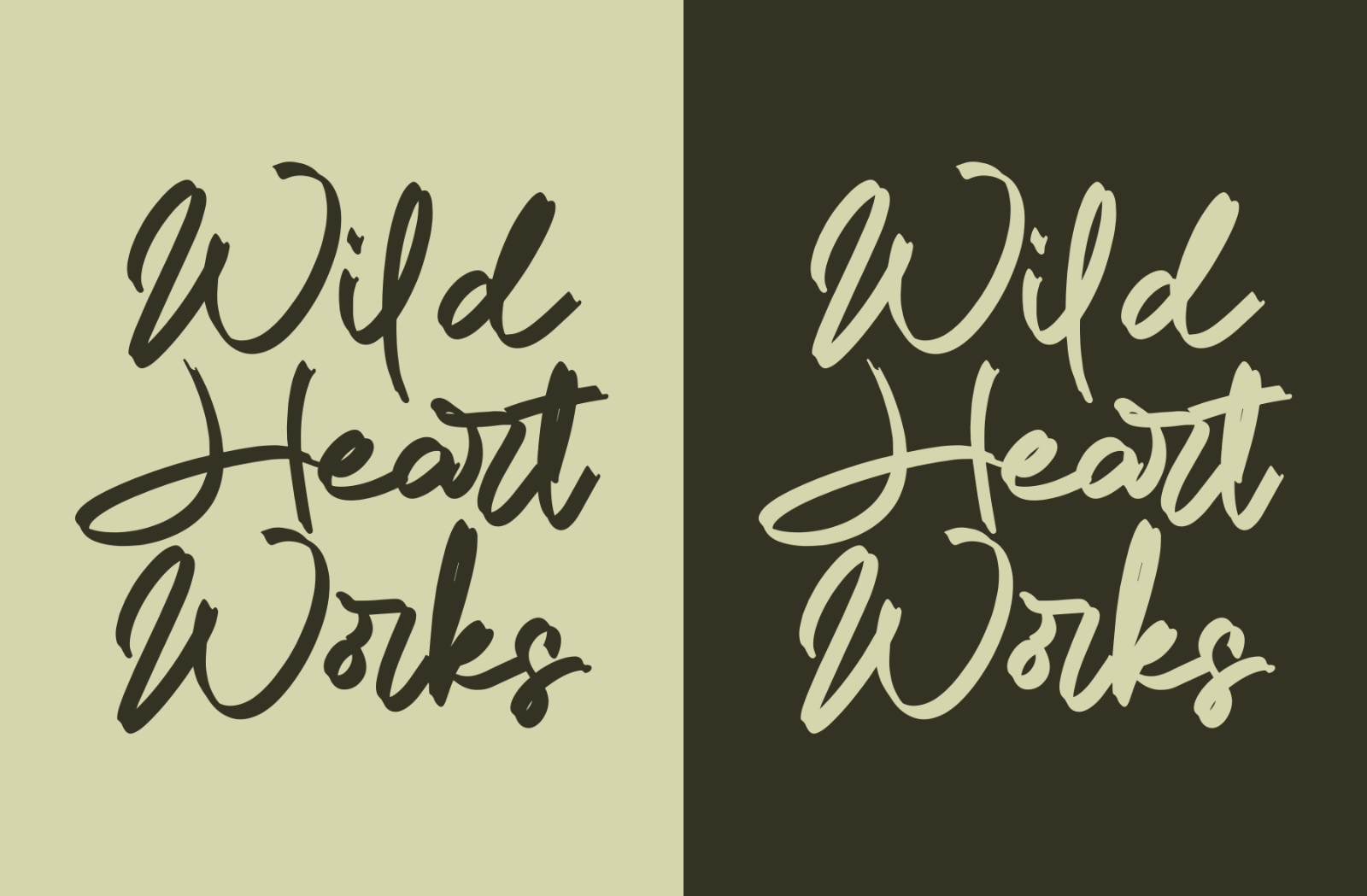 Clarison Dawn - Brush Script — image 8