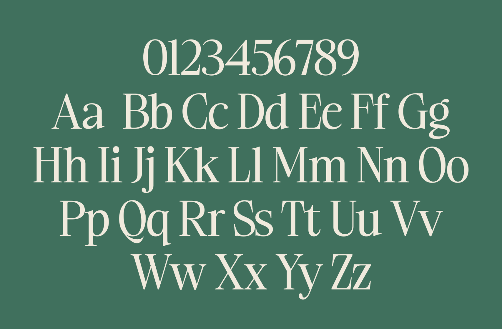 Ladinta - Family Serif Font — image 8
