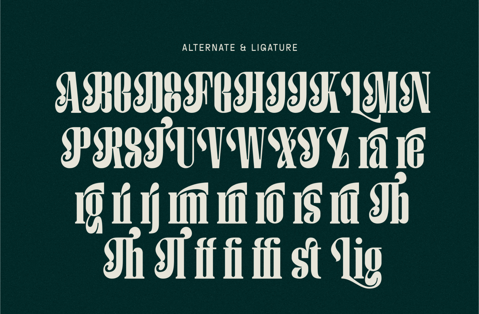 Matilira - Classic Serif Font — image 9