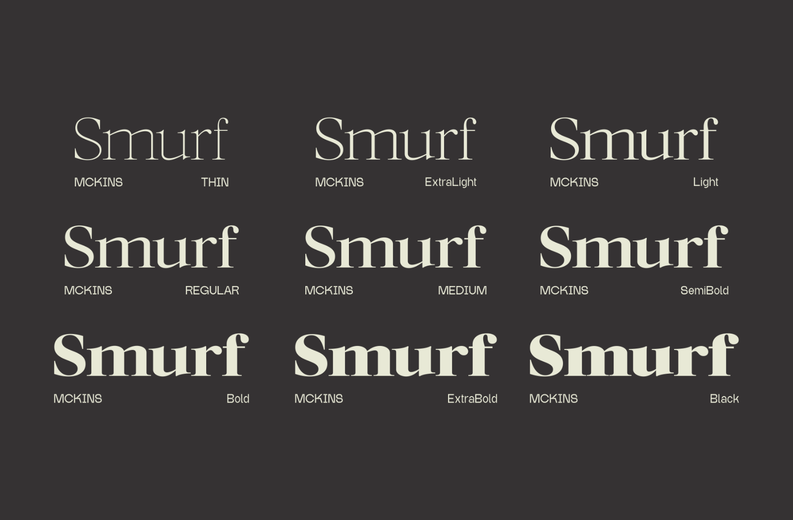 Mckins - Family Serif Font — image 9
