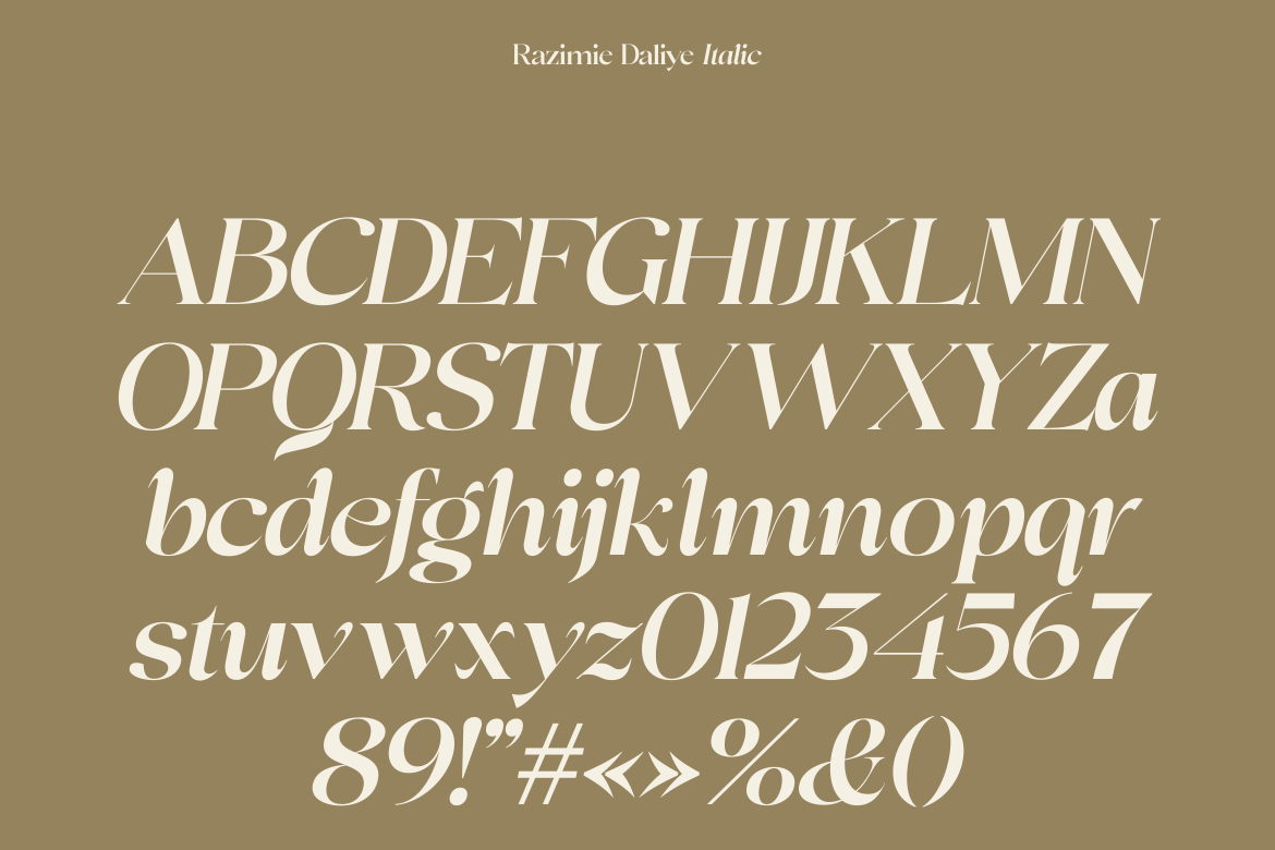 Razimie Daliye - Display Serif Font — image 9