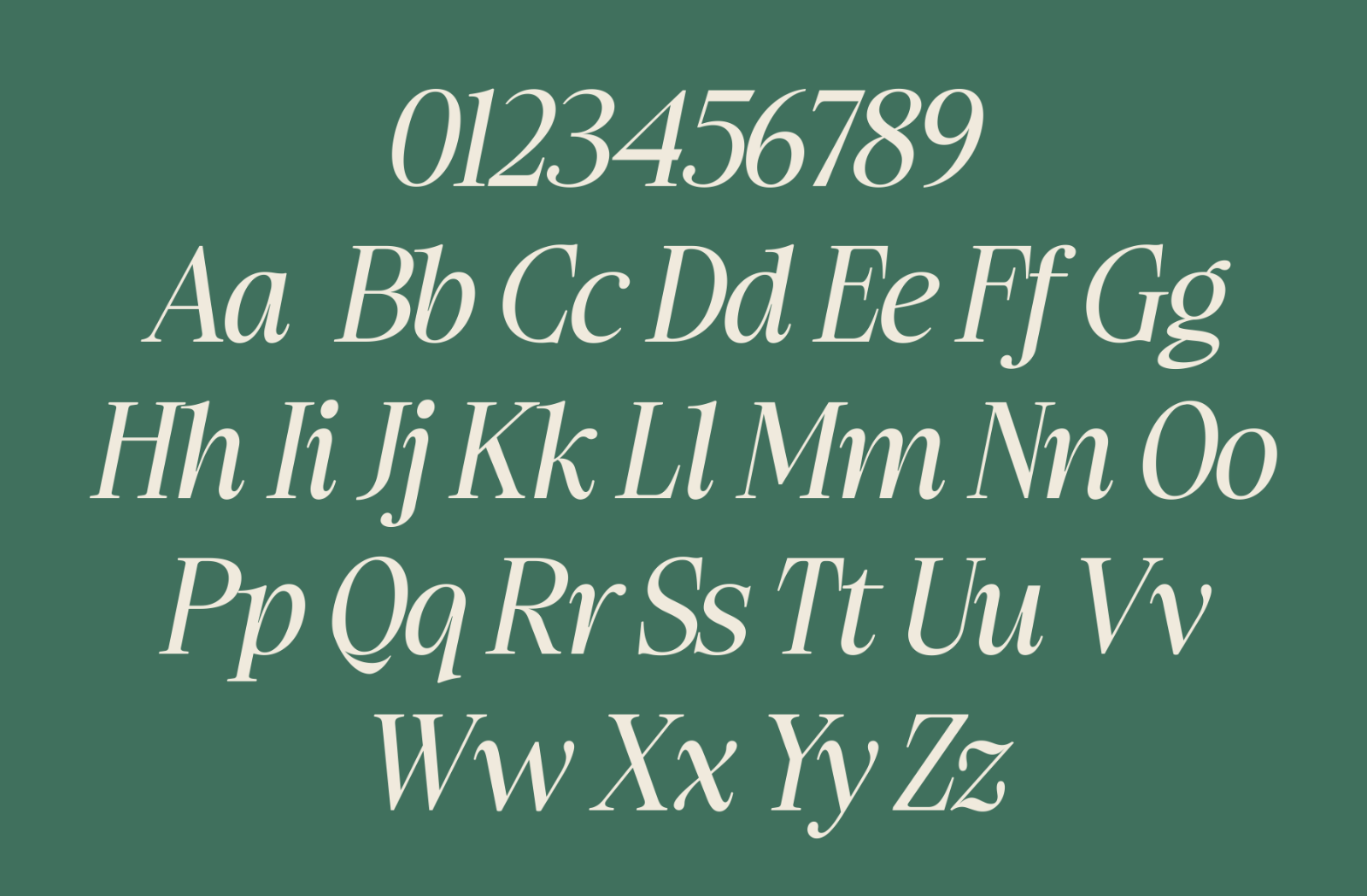 Ladinta - Family Serif Font — image 9