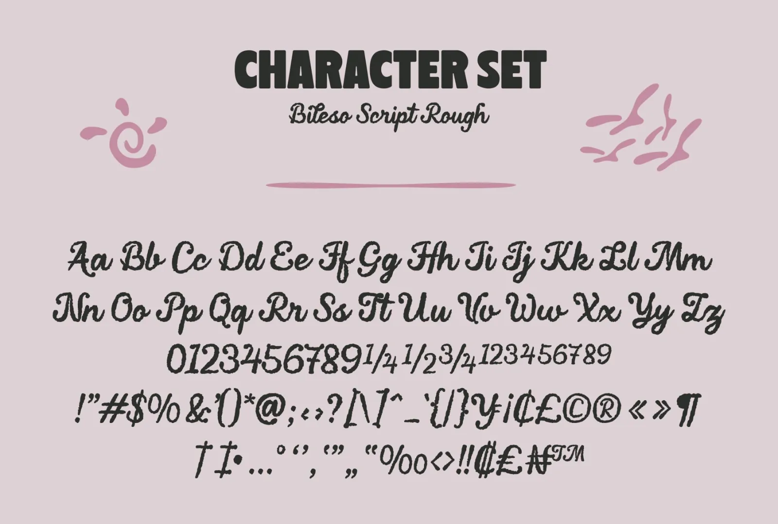 Bileso Script Font — image 9
