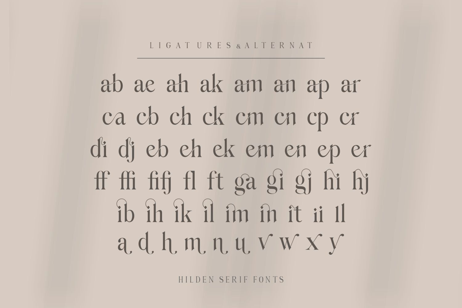 Hilden - Stylish Modern Serif Font — image 10