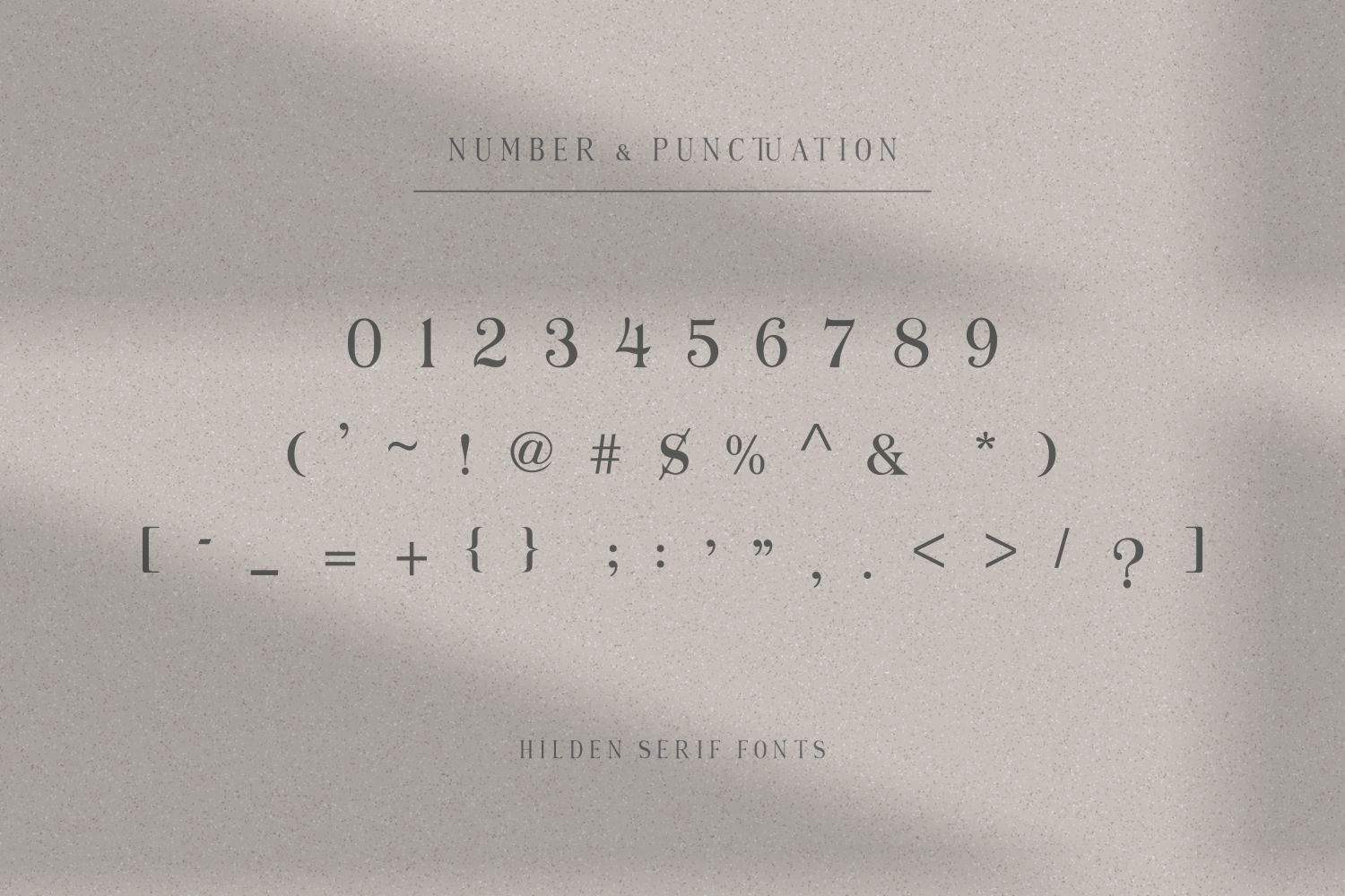 Hilden - Stylish Modern Serif Font — image 11
