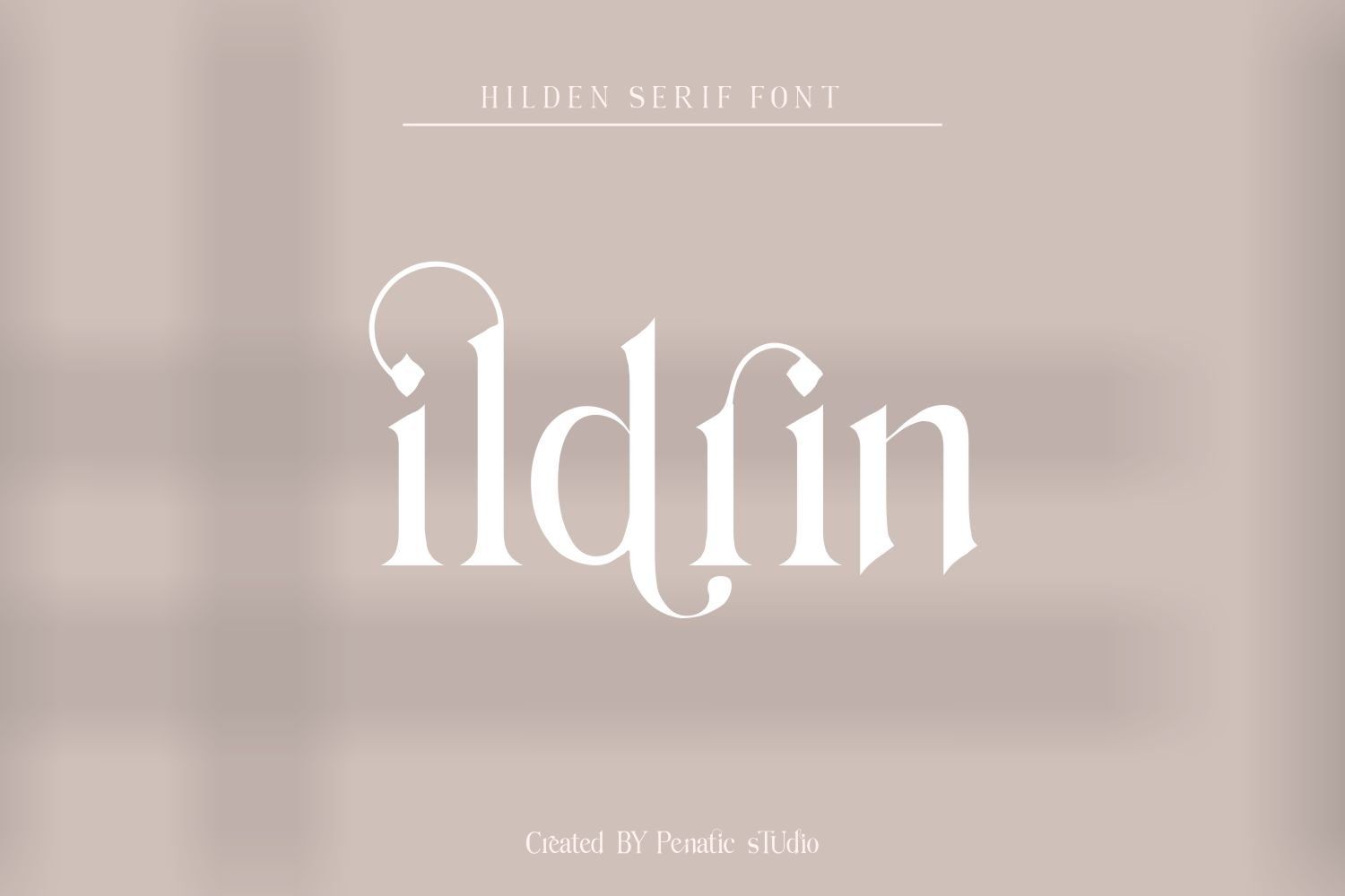 Hilden - Stylish Modern Serif Font — image 12