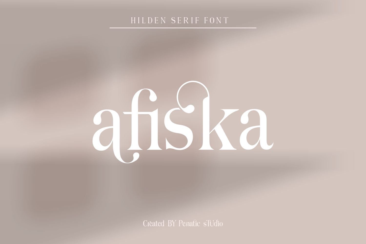 Hilden - Stylish Modern Serif Font — image 13
