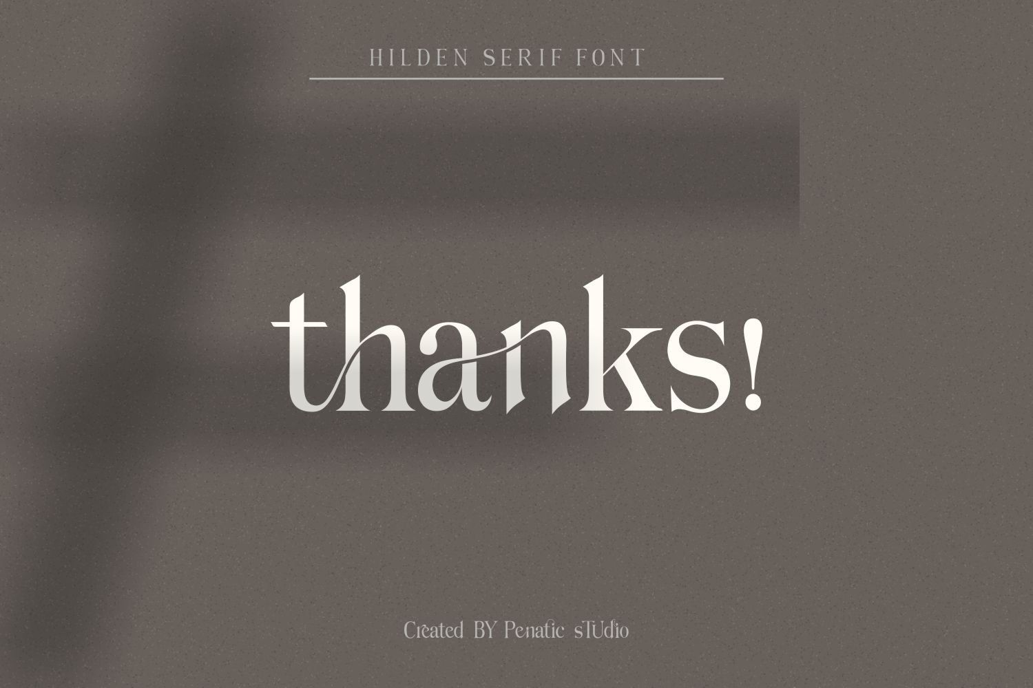 Hilden - Stylish Modern Serif Font — image 14