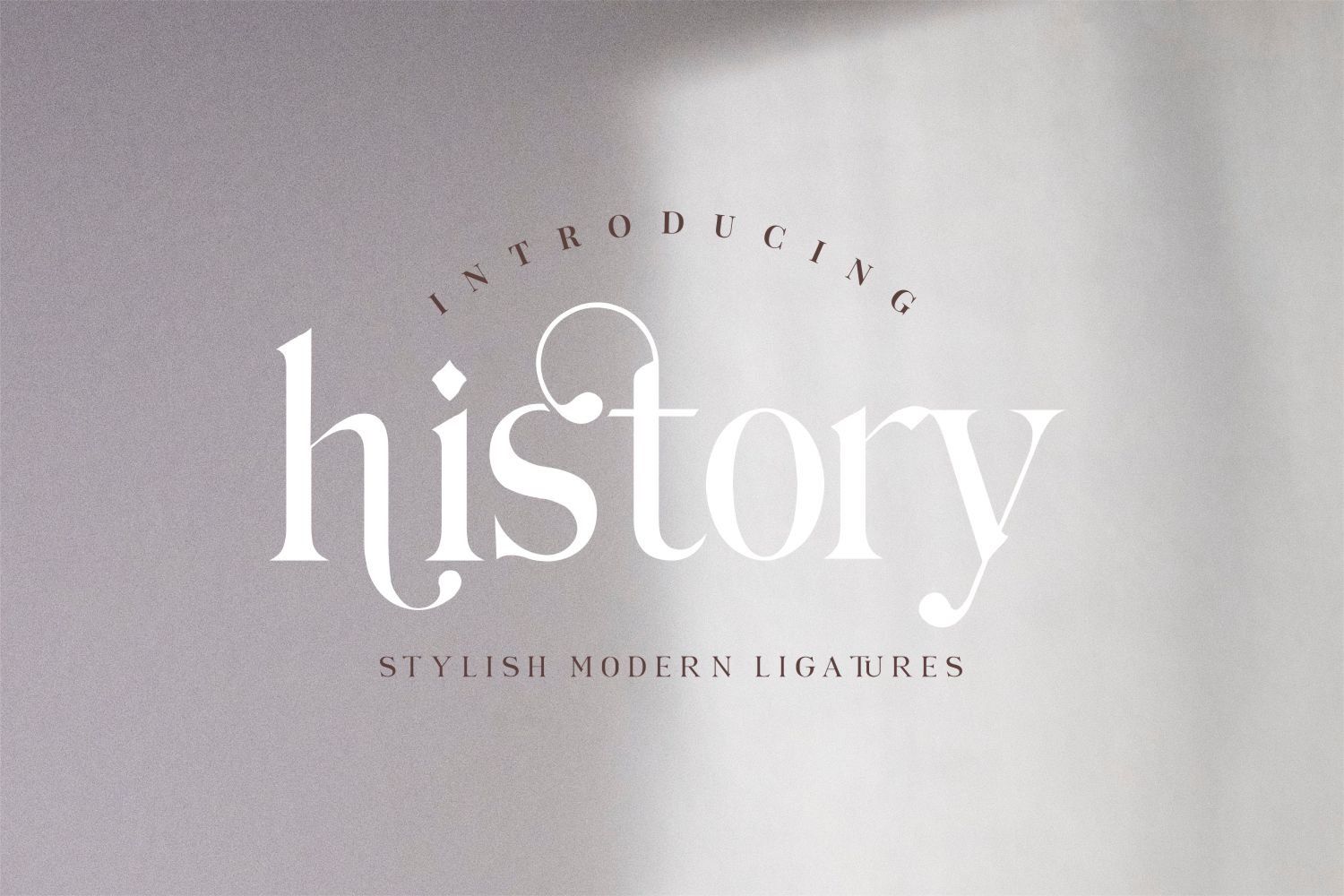 Hilden - Stylish Modern Serif Font — image 3