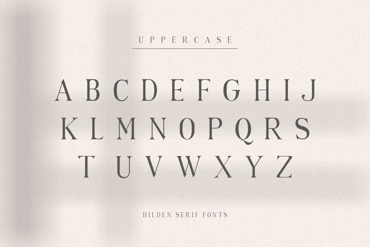 Hilden - Stylish Modern Serif Font — image 8