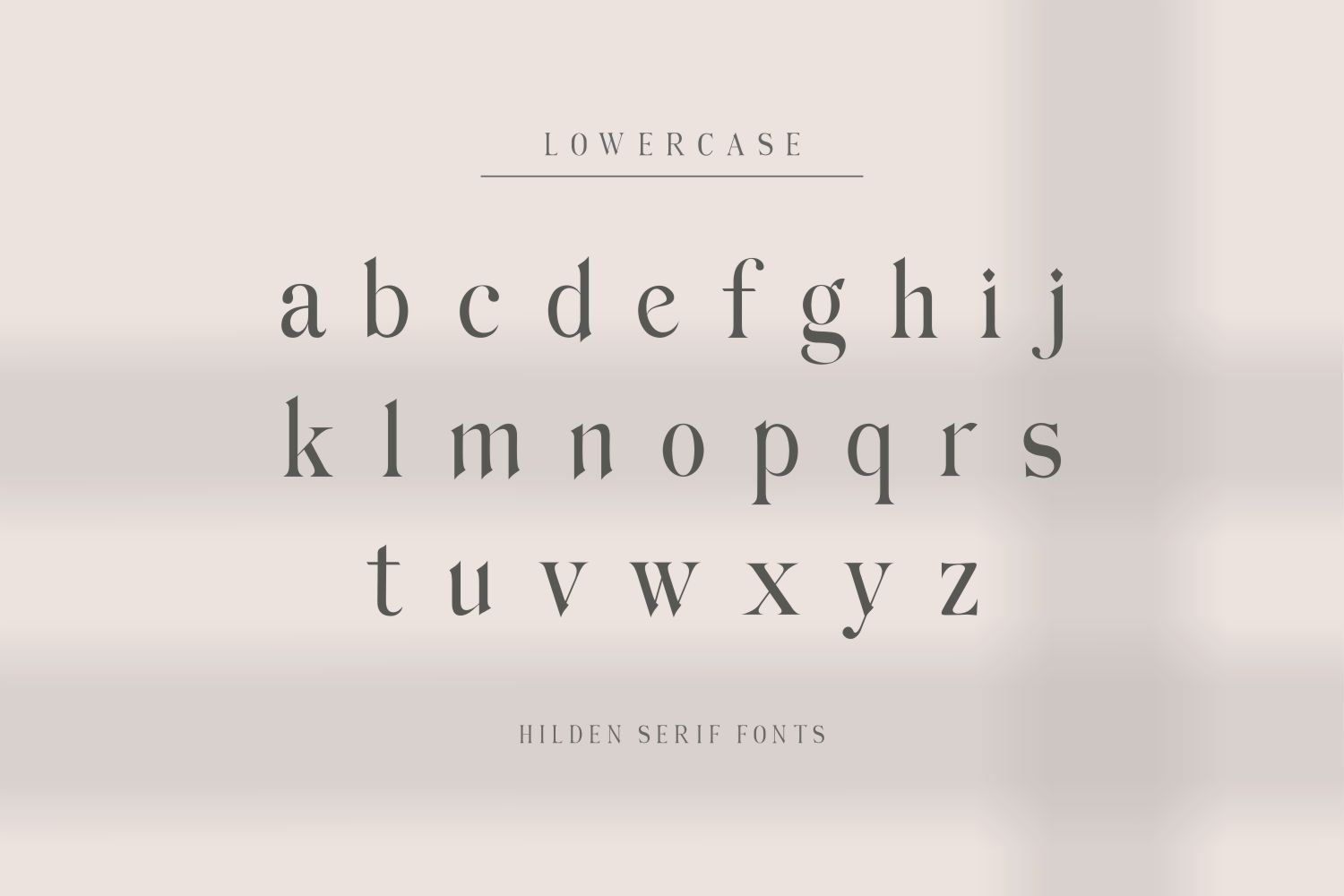 Hilden - Stylish Modern Serif Font — image 9