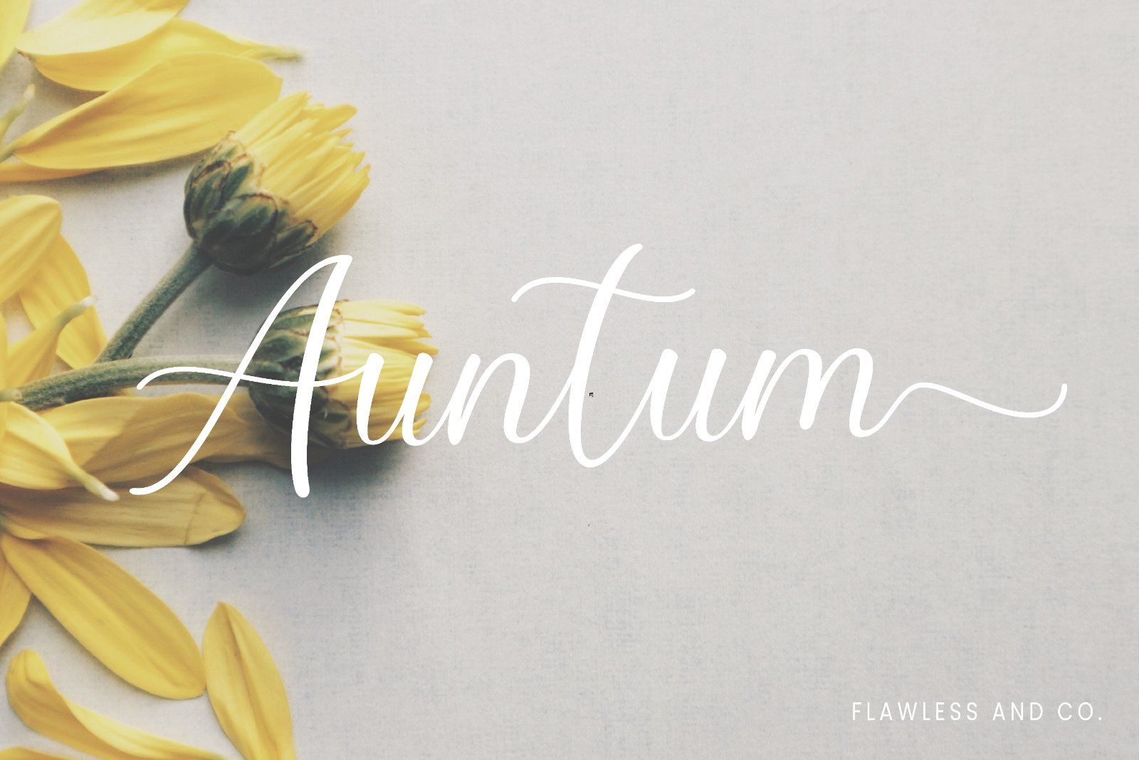 Moretta - Handwritten Script Font — image 5