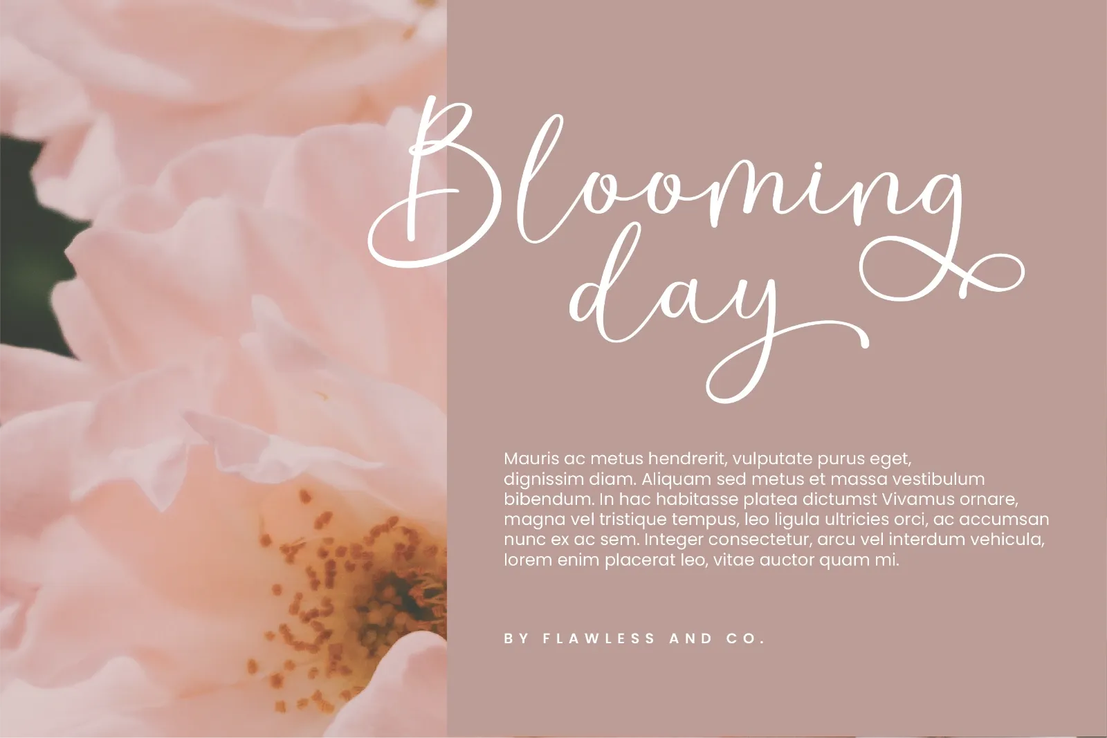 Saraya - Handwritten Script Font — image 3