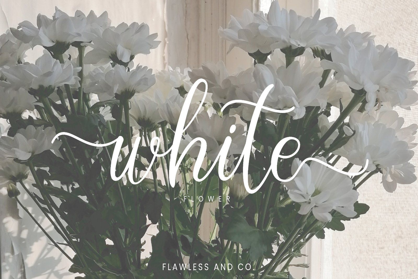Moretta - Handwritten Script Font — image 10