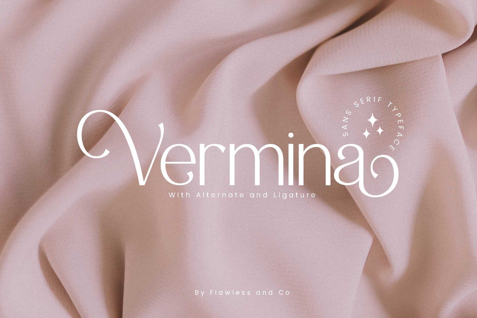 Vermina - Elegant Sans Serif Font — image 1