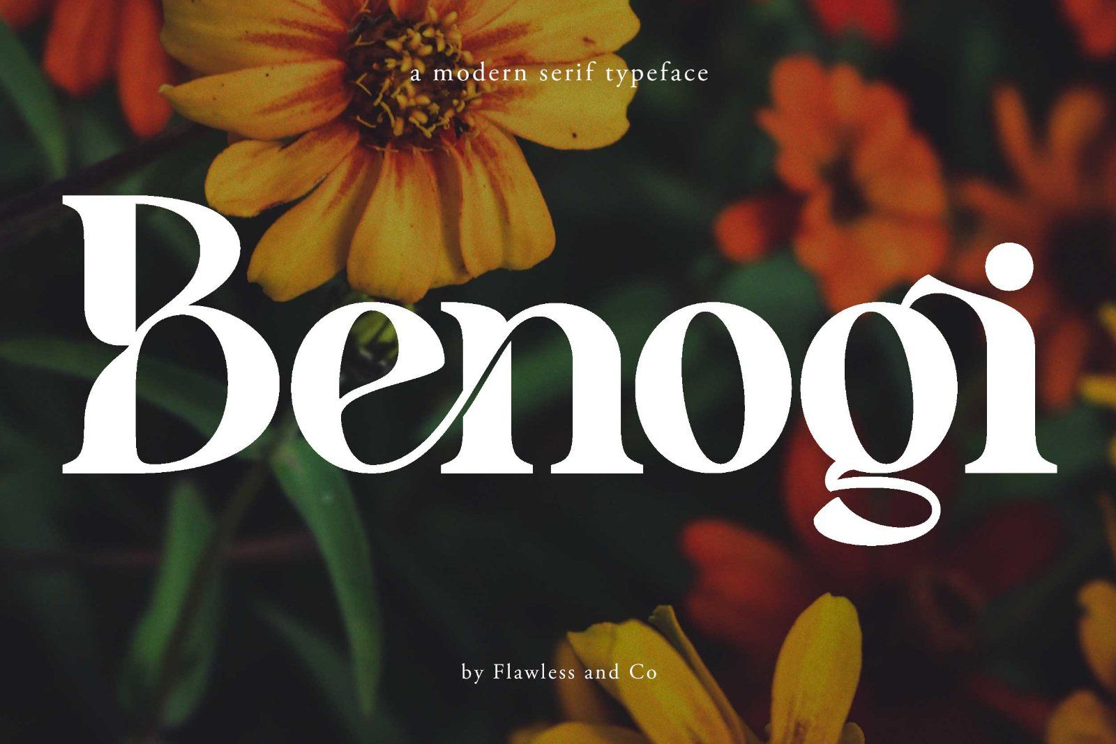 Benogi - Modern Serif Font — image 1