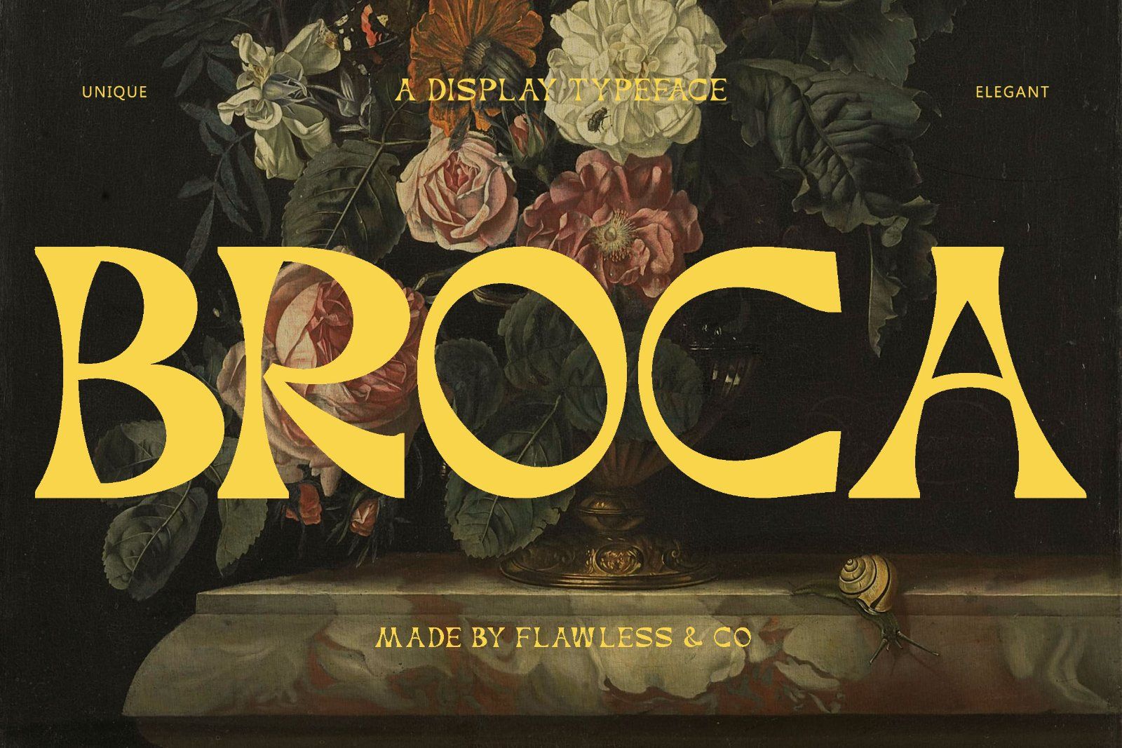 Broca - Unique Dsiplay Serif Font — image 1