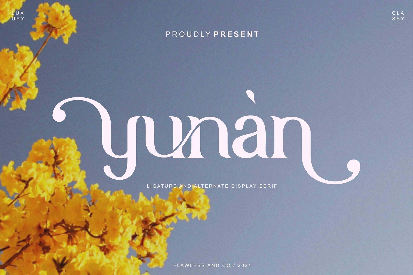 Yunan - Display Serif Font — image 1