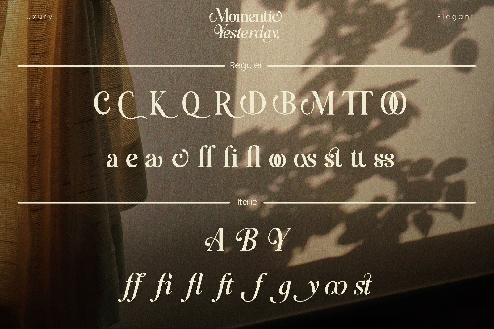 Momentic Yesterday - Beautiful Serif Font — image 10