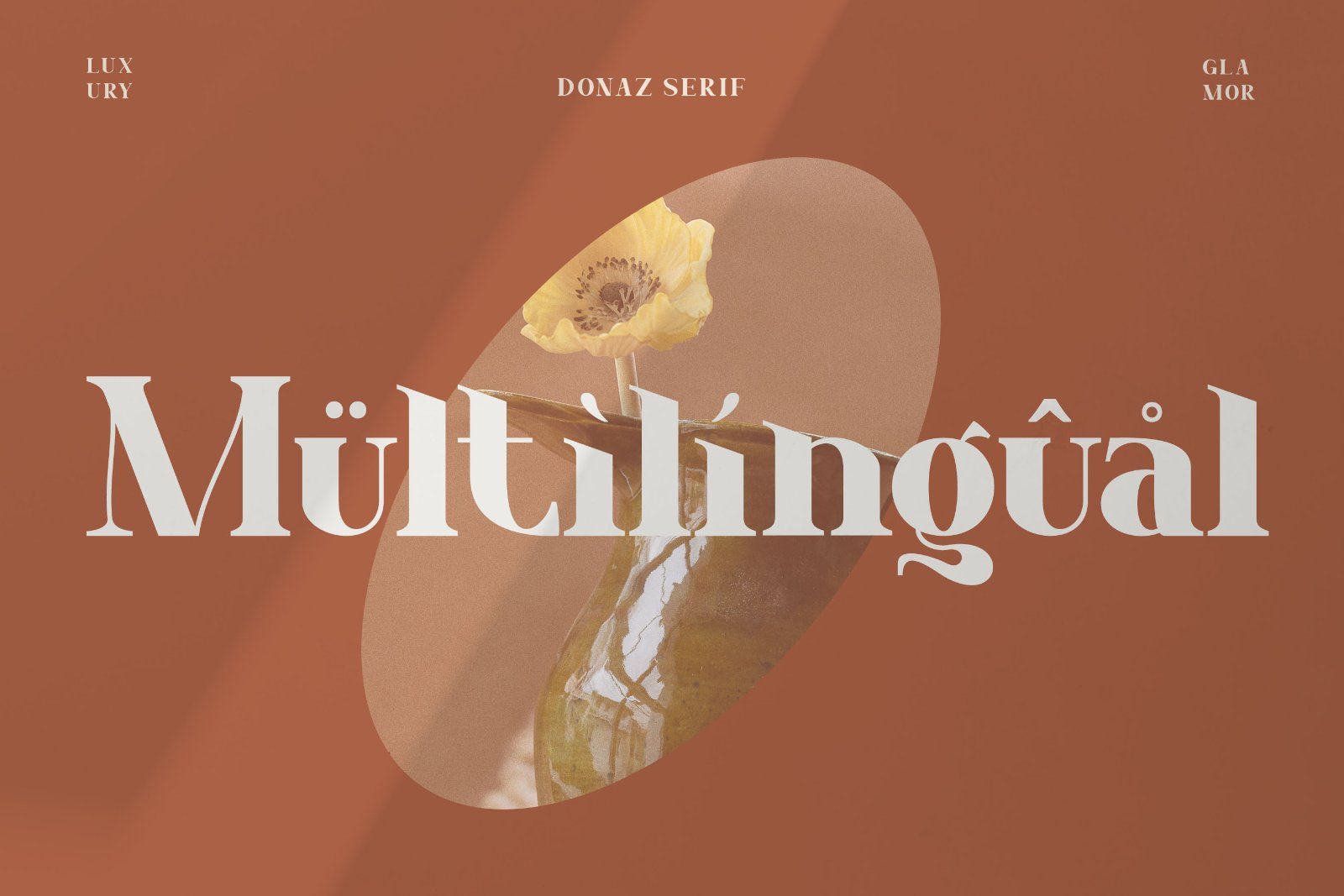 Donaz - Stylish Serif Font — image 10