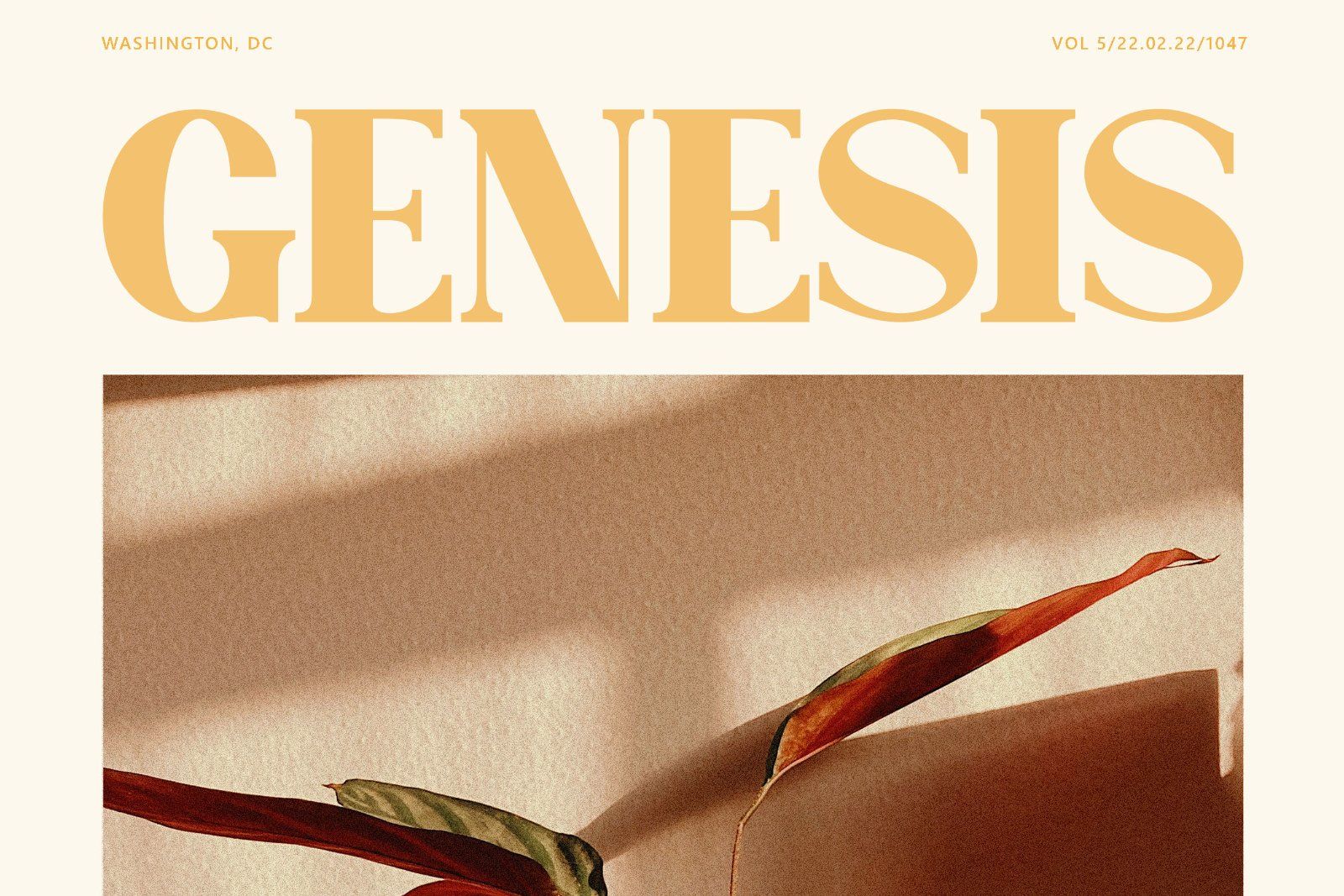 Gliven - Elegant Retro Serif Font — image 6
