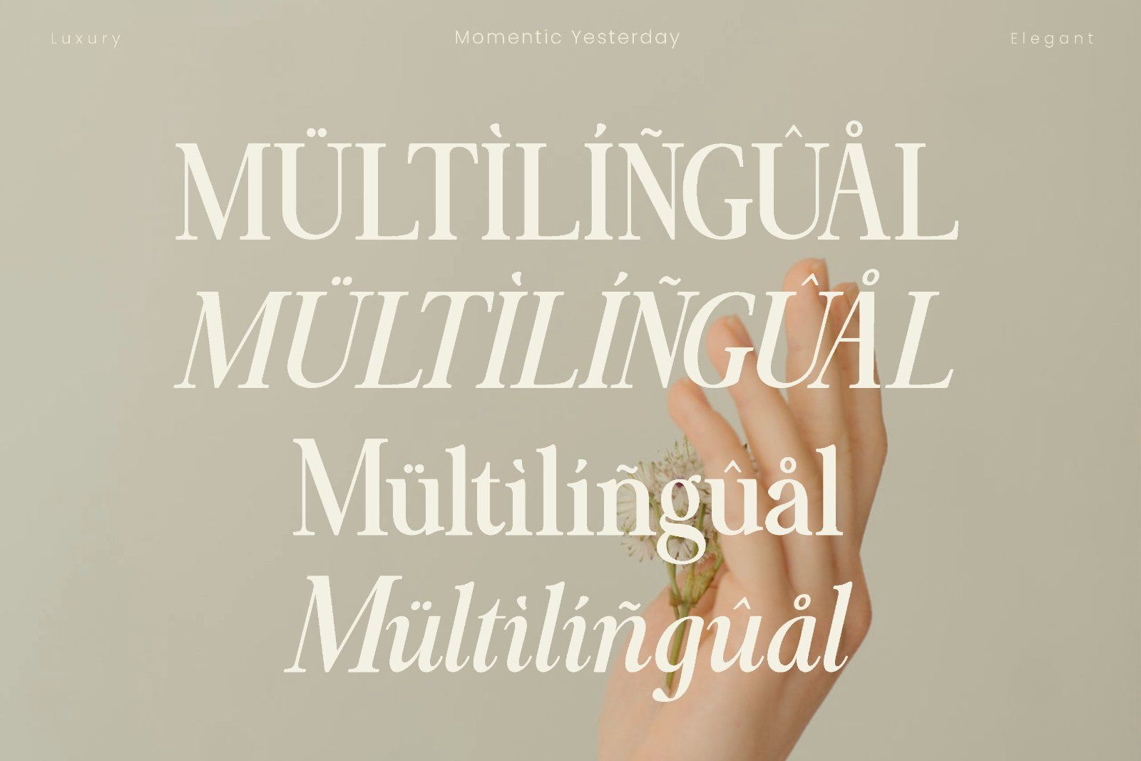 Momentic Yesterday - Beautiful Serif Font — image 11