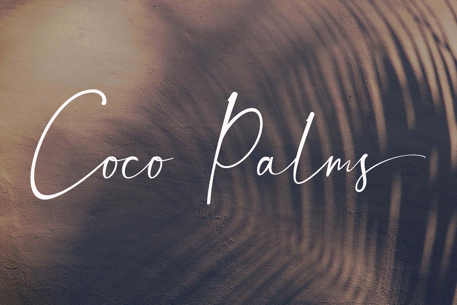 Brasta - Elegant Handwritten Font — image 6