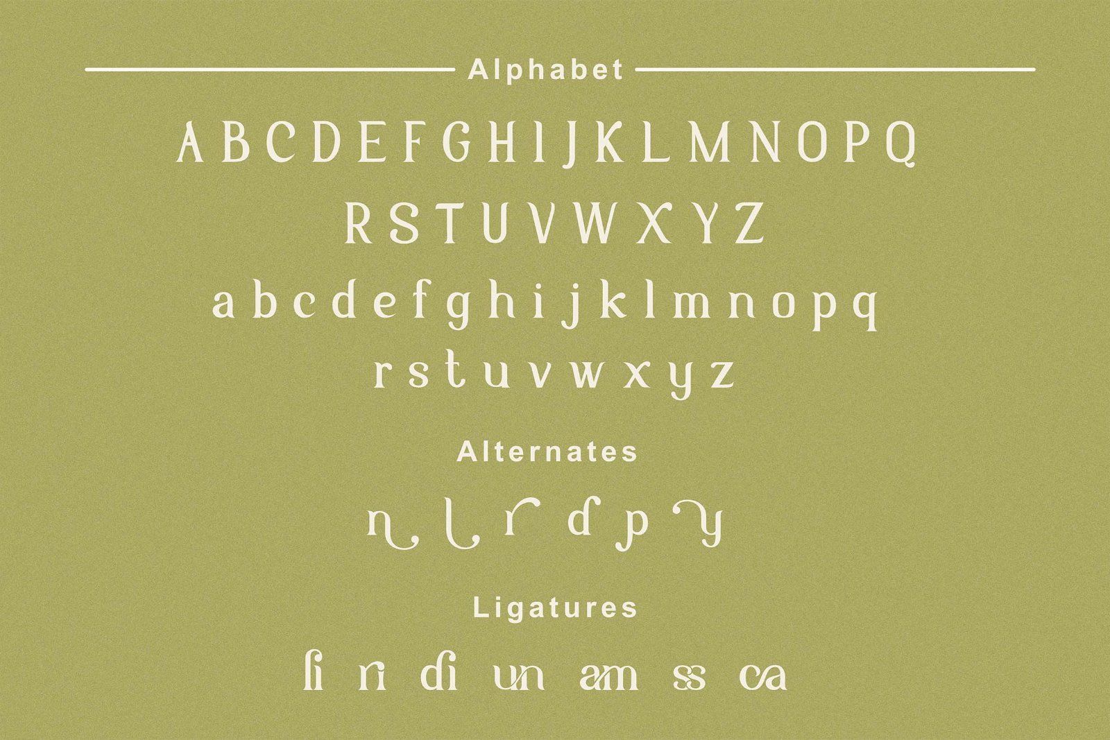 Yunan - Display Serif Font — image 9
