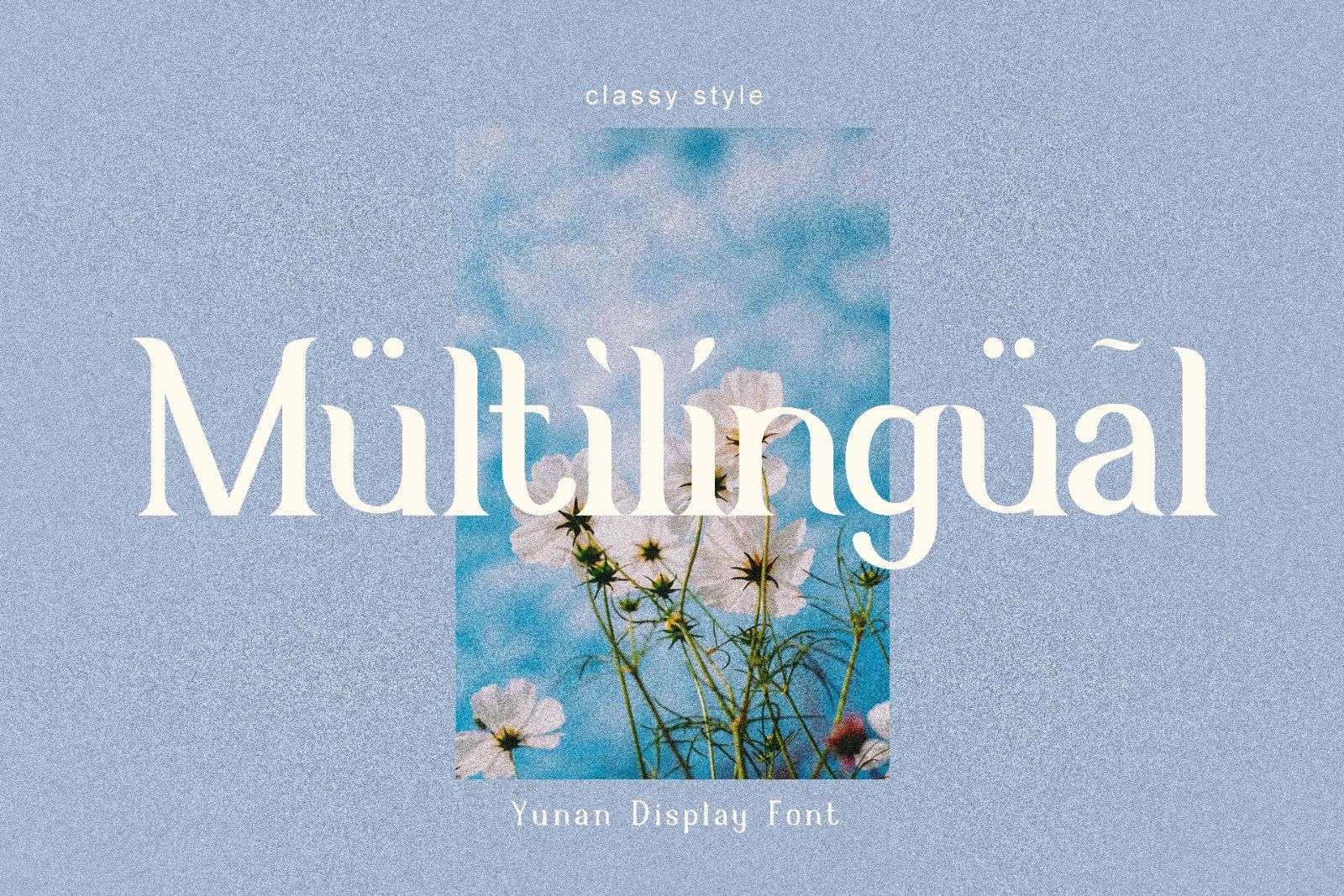 Yunan - Display Serif Font — image 11