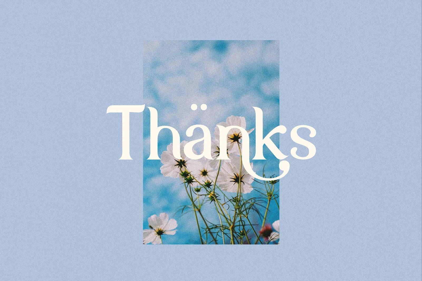 Yunan - Display Serif Font — image 12