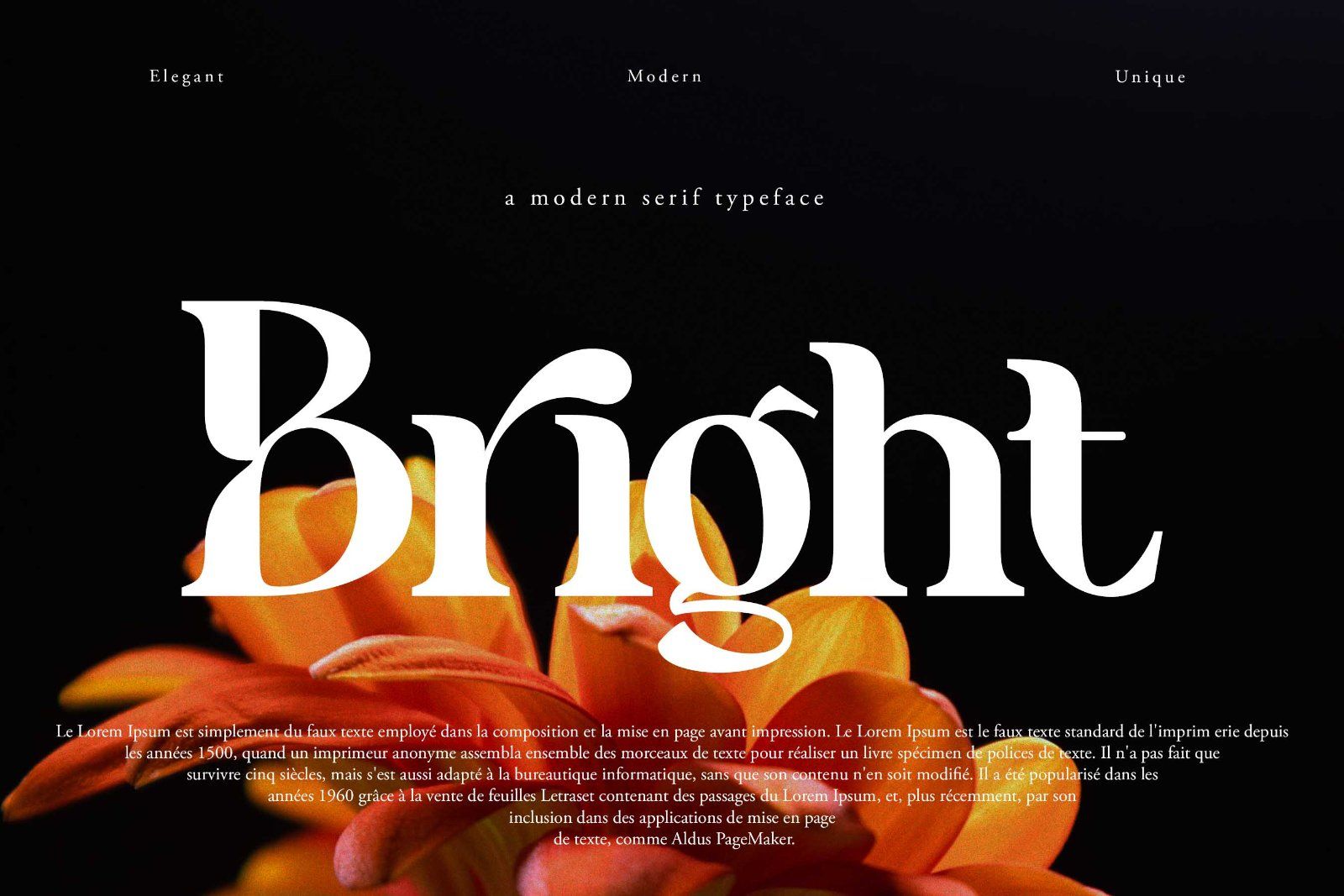 Benogi - Modern Serif Font — image 2