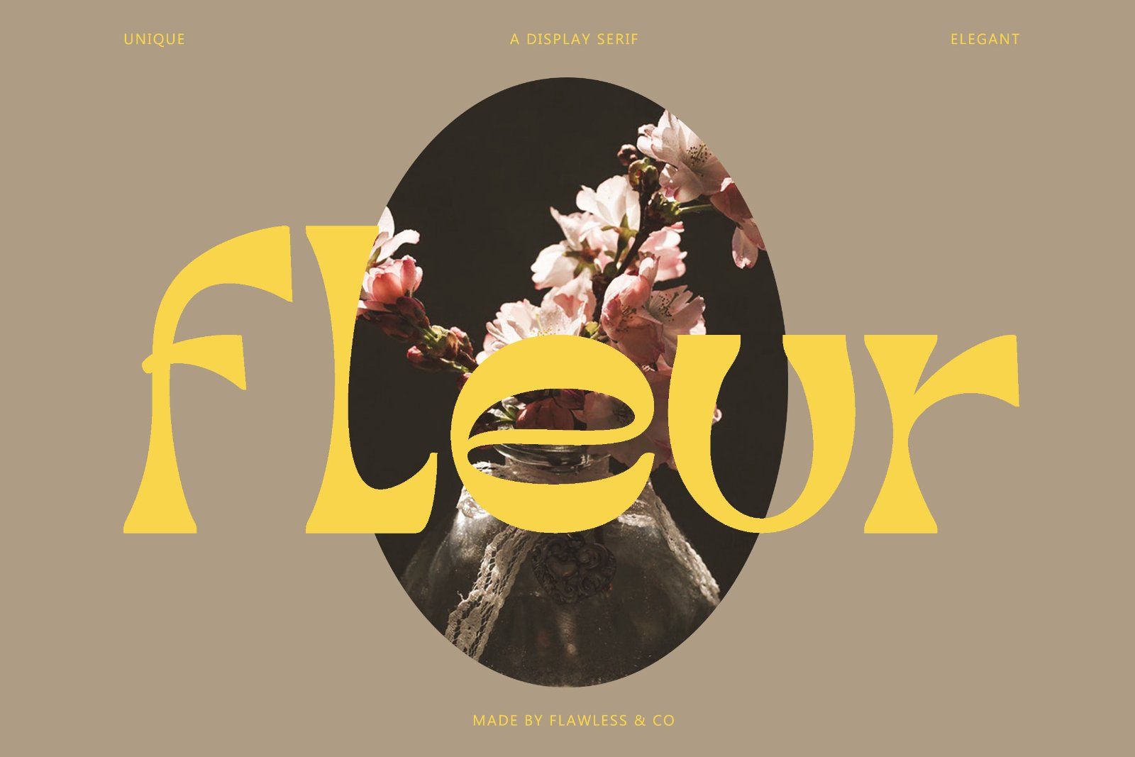 Broca - Unique Dsiplay Serif Font — image 2