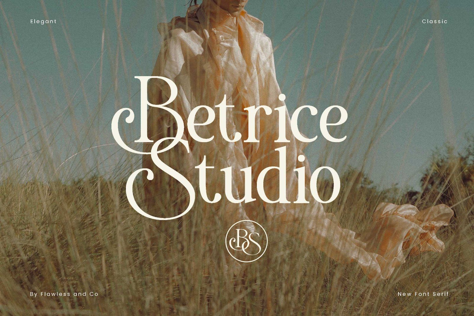 Rossena - Elegant Serif Font — image 2